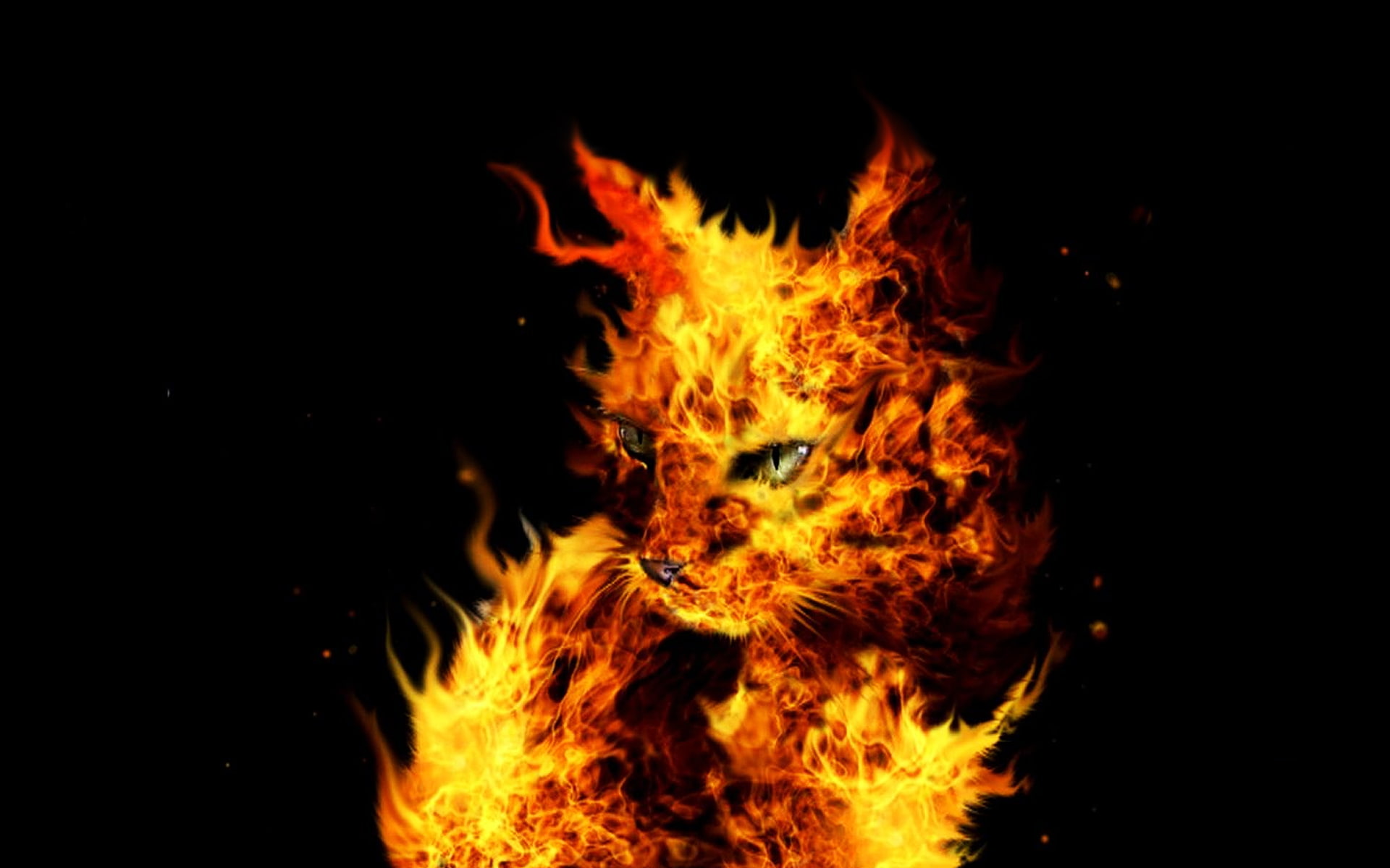 artistic, 1080P, hd, cat, flaming, flames, HD Wallpaper