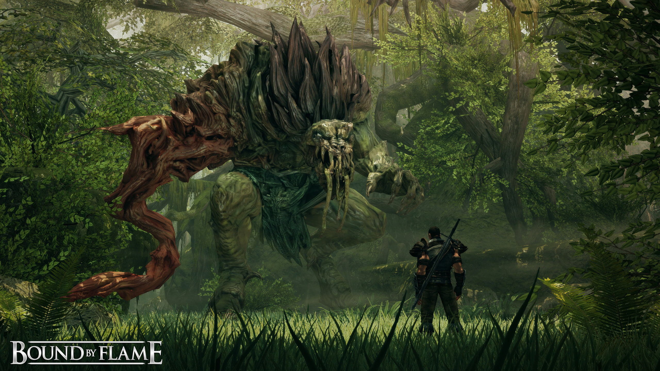 Video Game, Bound by Flame, 2K, HD Wallpaper