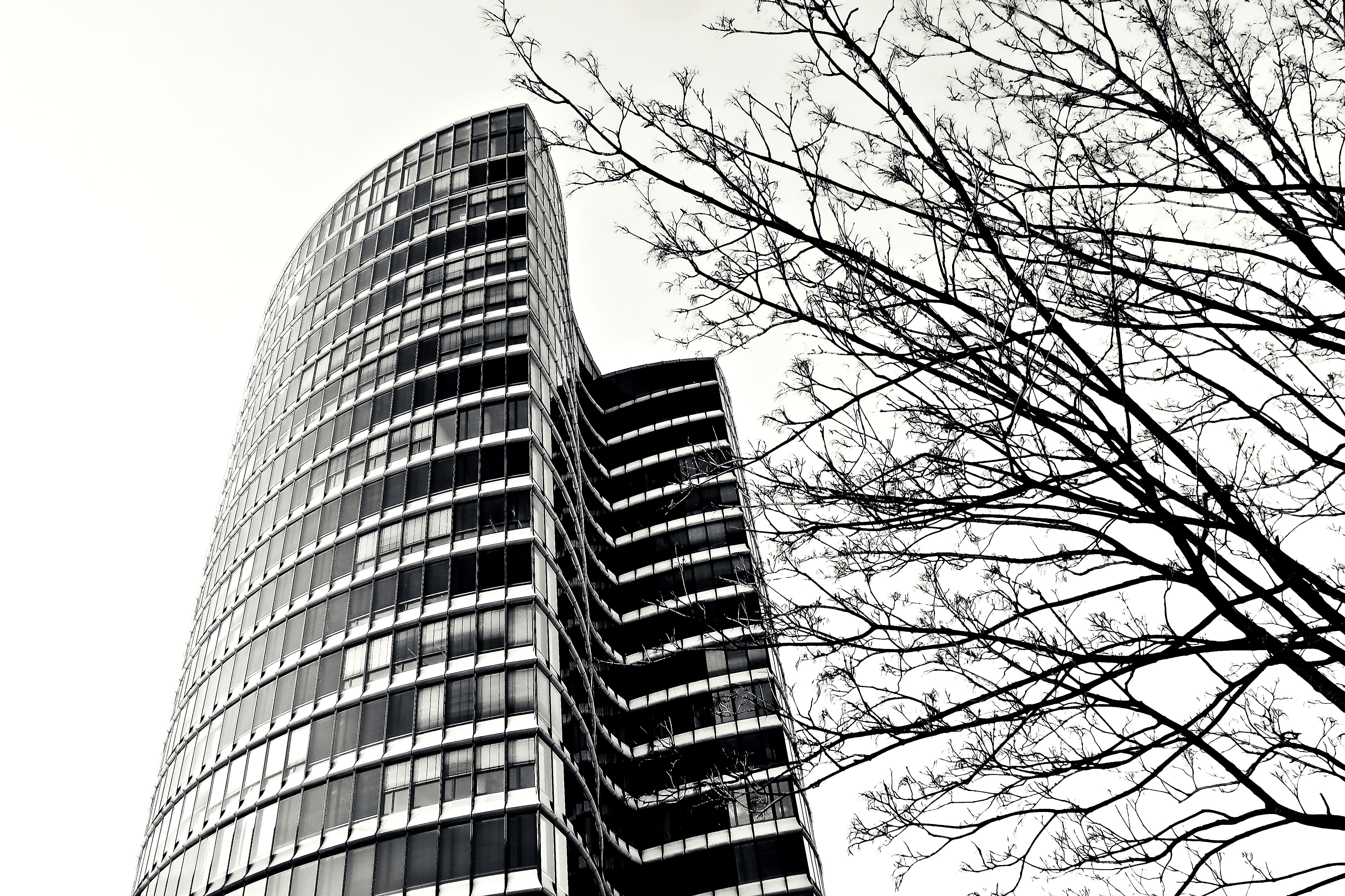 4K, structure, office, modern high rise building, house facade, nature, architecture, black and white, steel, urban, skyline, no people, low angle shot, HD Wallpaper