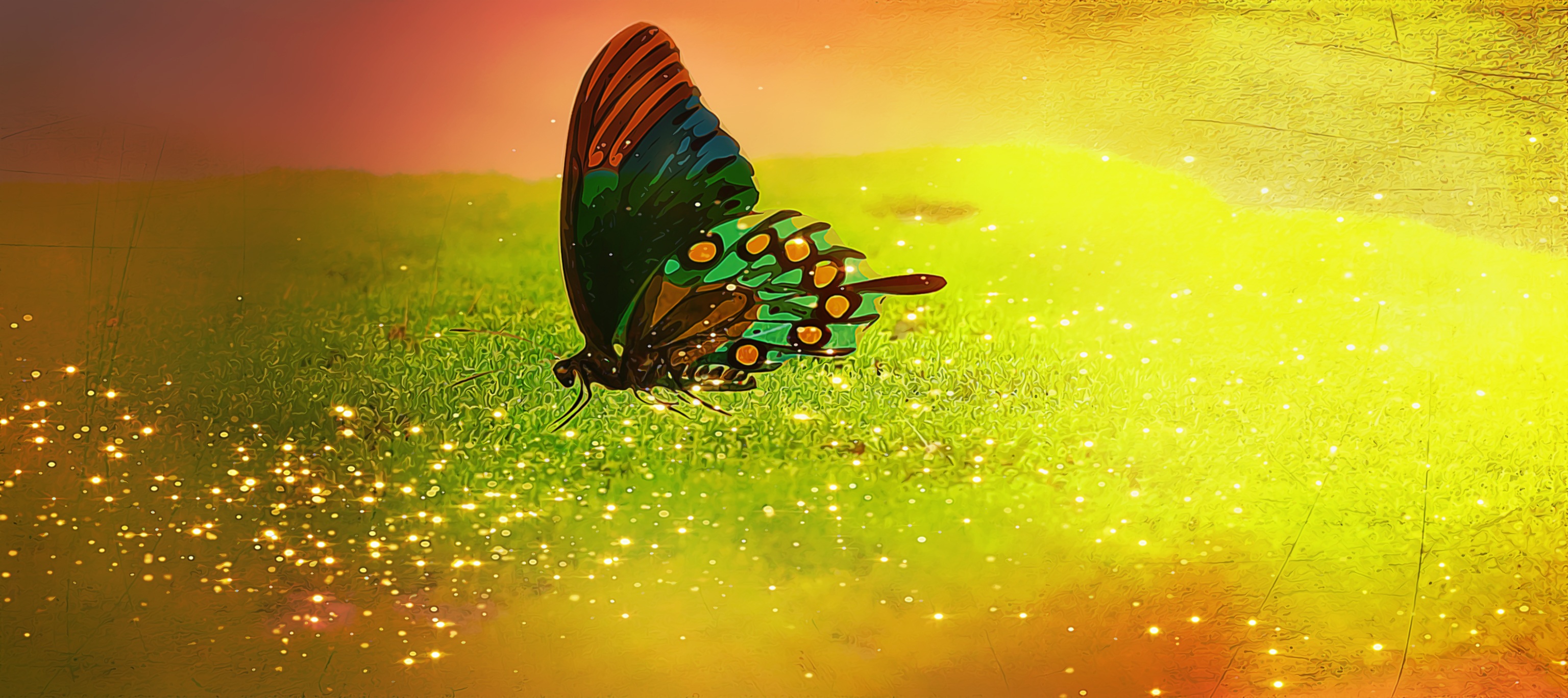 painting, glitter, invertebrate, insect, underwater, fantasy, sea, standing water, animal wing, no people, green color, butterfly, animal, multi colored, HD Wallpaper