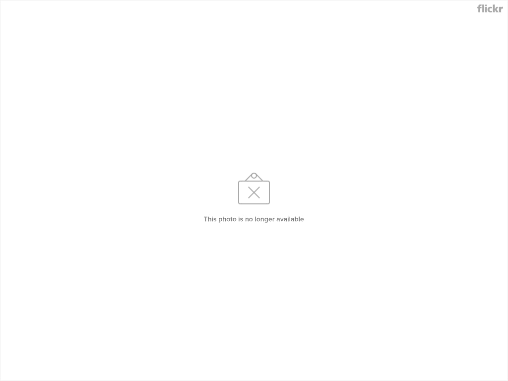 backgrounds, texts, badge, outline, photo, lizard, straight, symbol, longer, sign, 480P, available, insignia, vector, HD Wallpaper