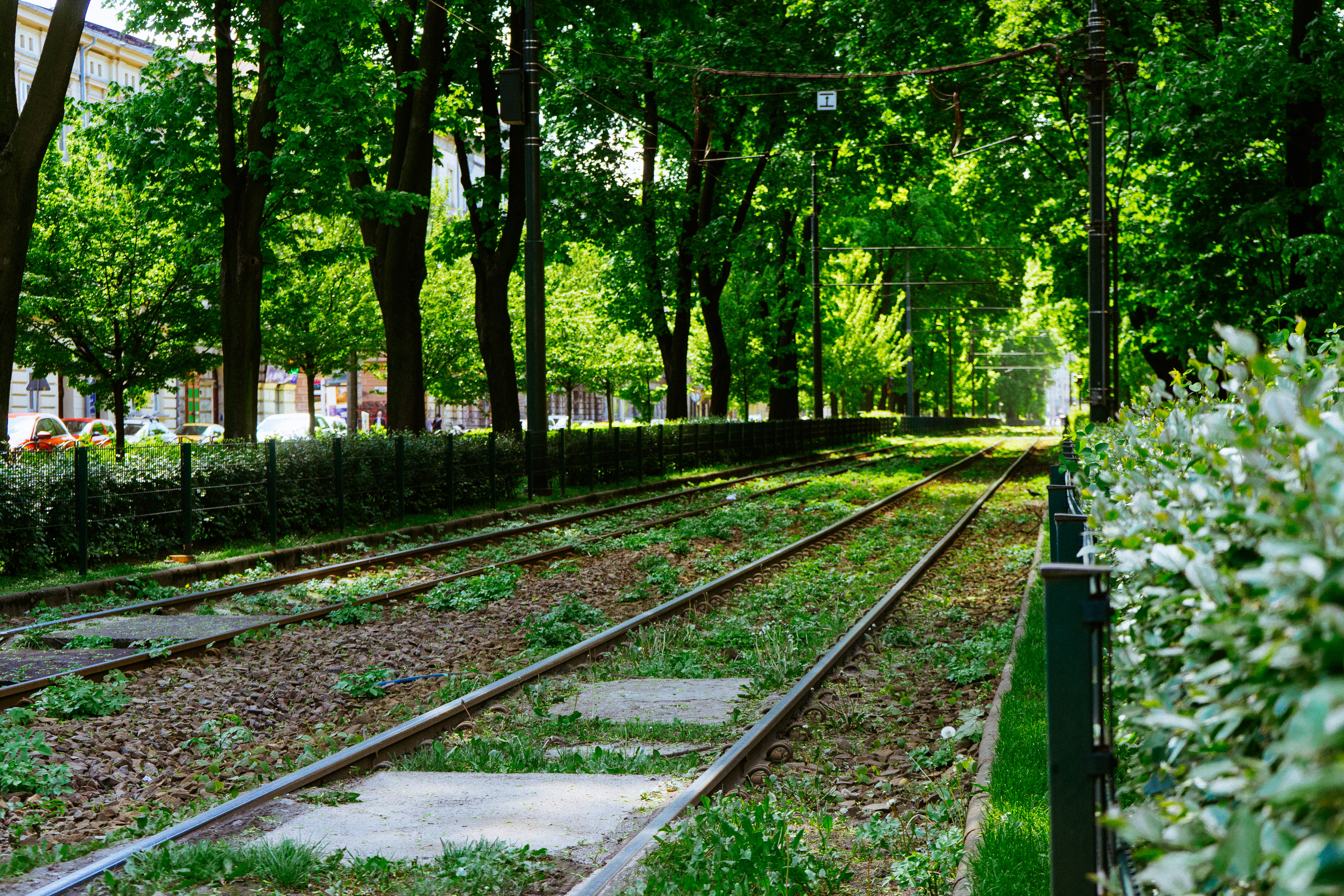 tranquility, spring, a7ii, beauty in nature, tree, a7mk2, transportation, growth, railroad track, rail transportation, green, travel, trees, sunny, public transportation, HD Wallpaper
