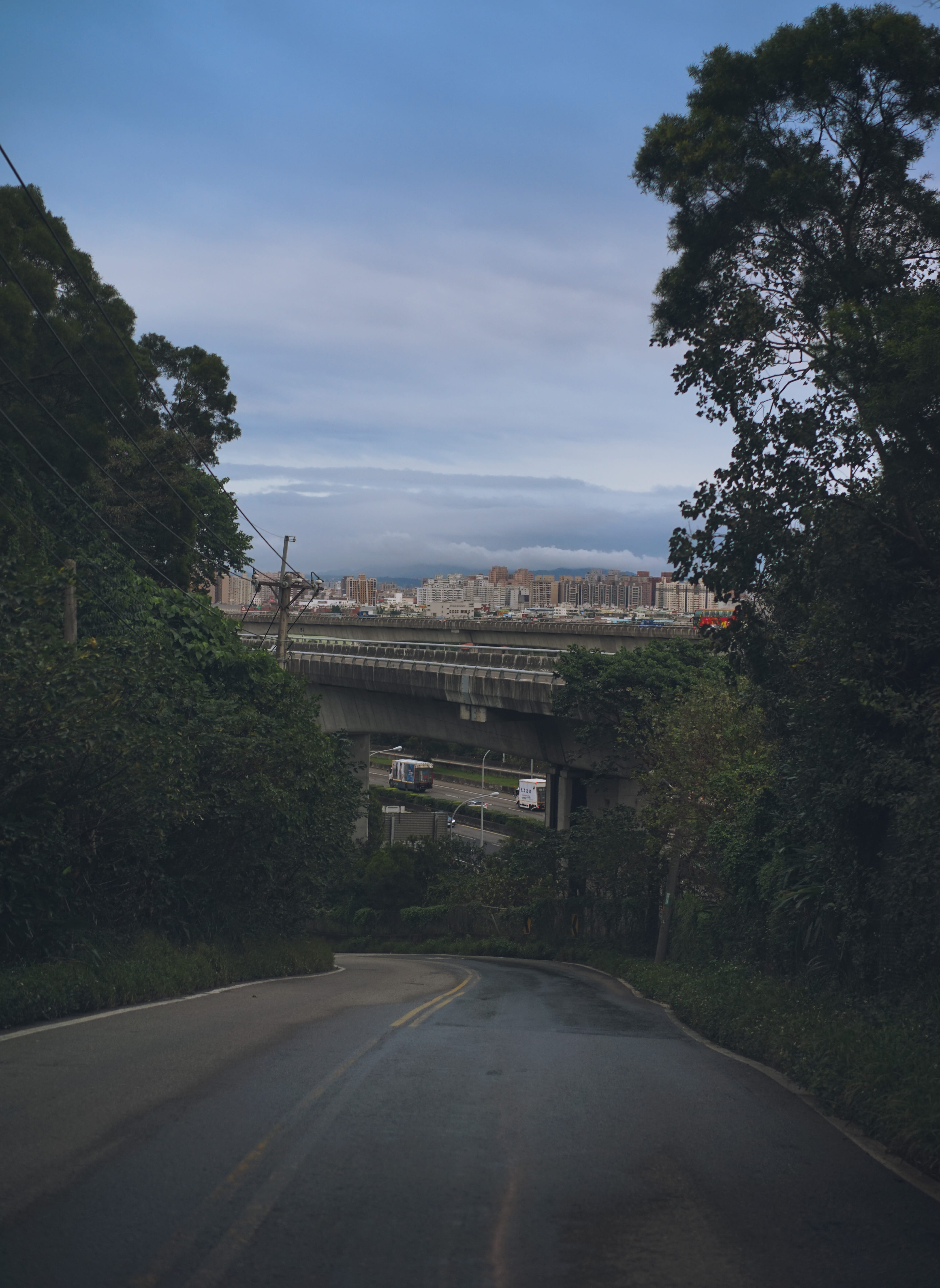 sonyA7, street, tree, direction, sonyalpha, plant, city, growth, the way forward, road, Taiwan, pingzhen, 5K, architecture, built structure, diminishing perspective, Phone HD Wallpaper