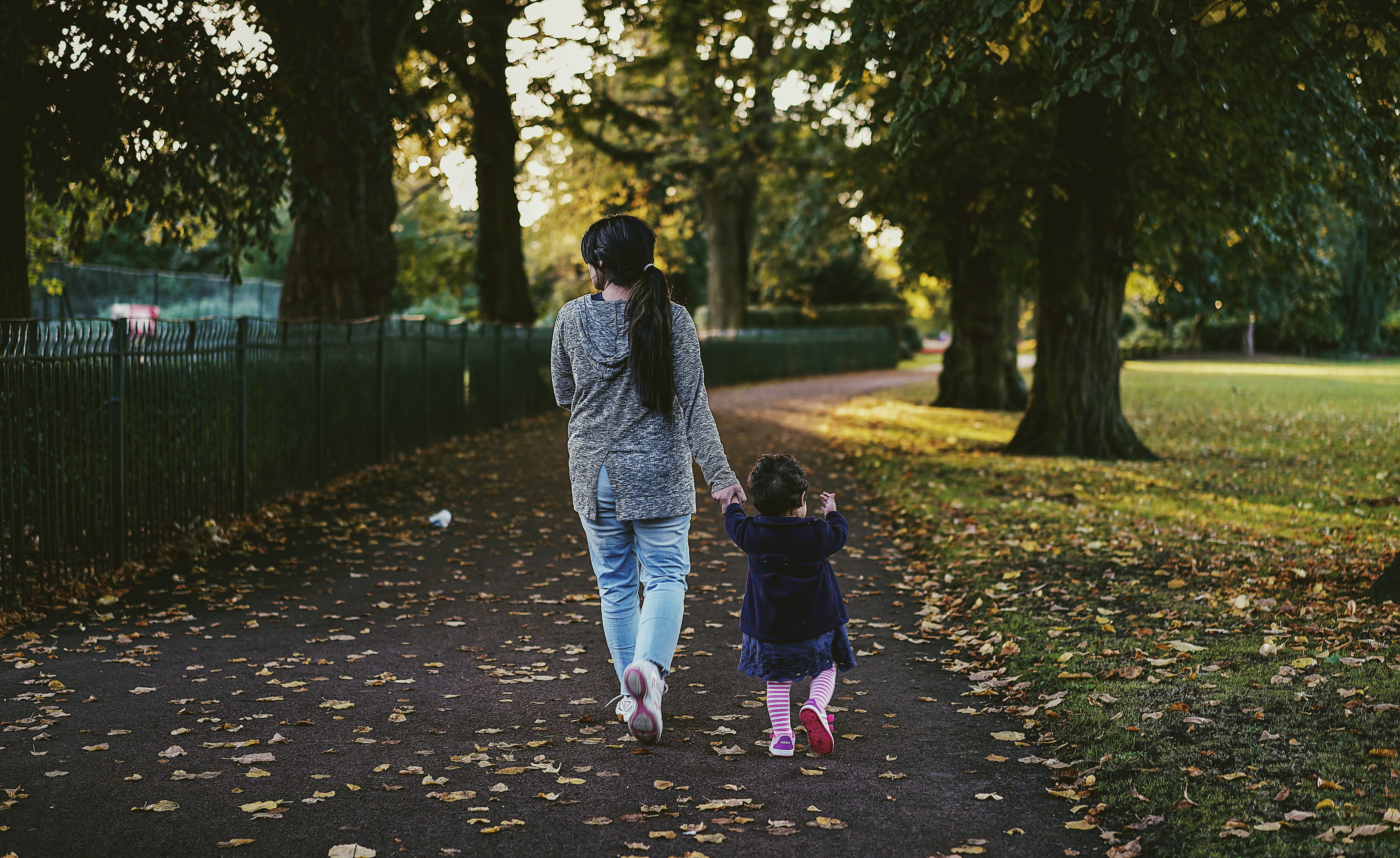females, walking, sonyalpha, goldenhour, full length, daughter, family, gold, garden, plant, sonya7, 5K, positive emotion, park - man made space, togetherness, HD Wallpaper