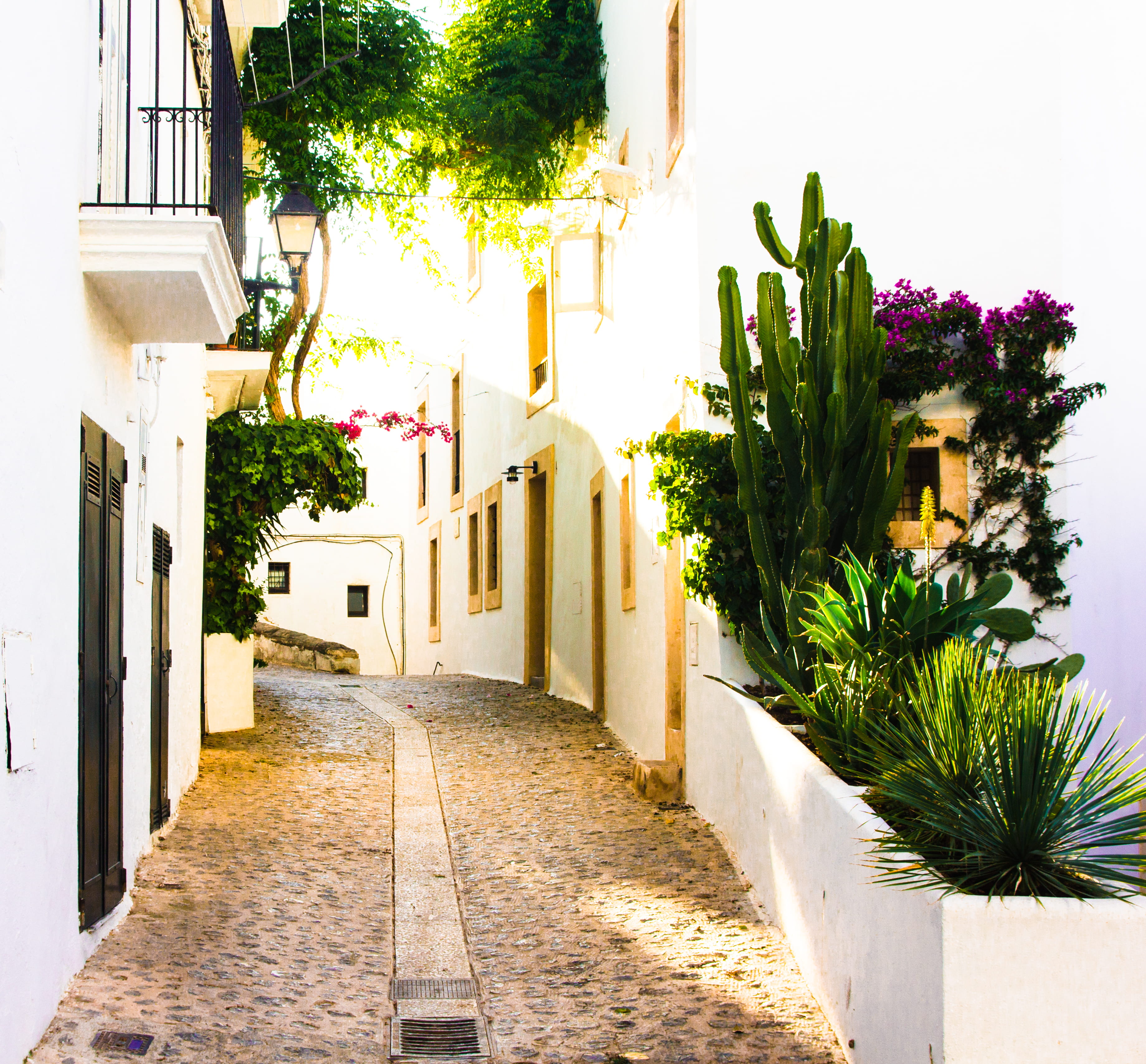 tree, building exterior, houses, potted plant, street, plants, typical, alley, nature, road, path, spain, green, 2K, ibiza, built structure, outdoors, HD Wallpaper