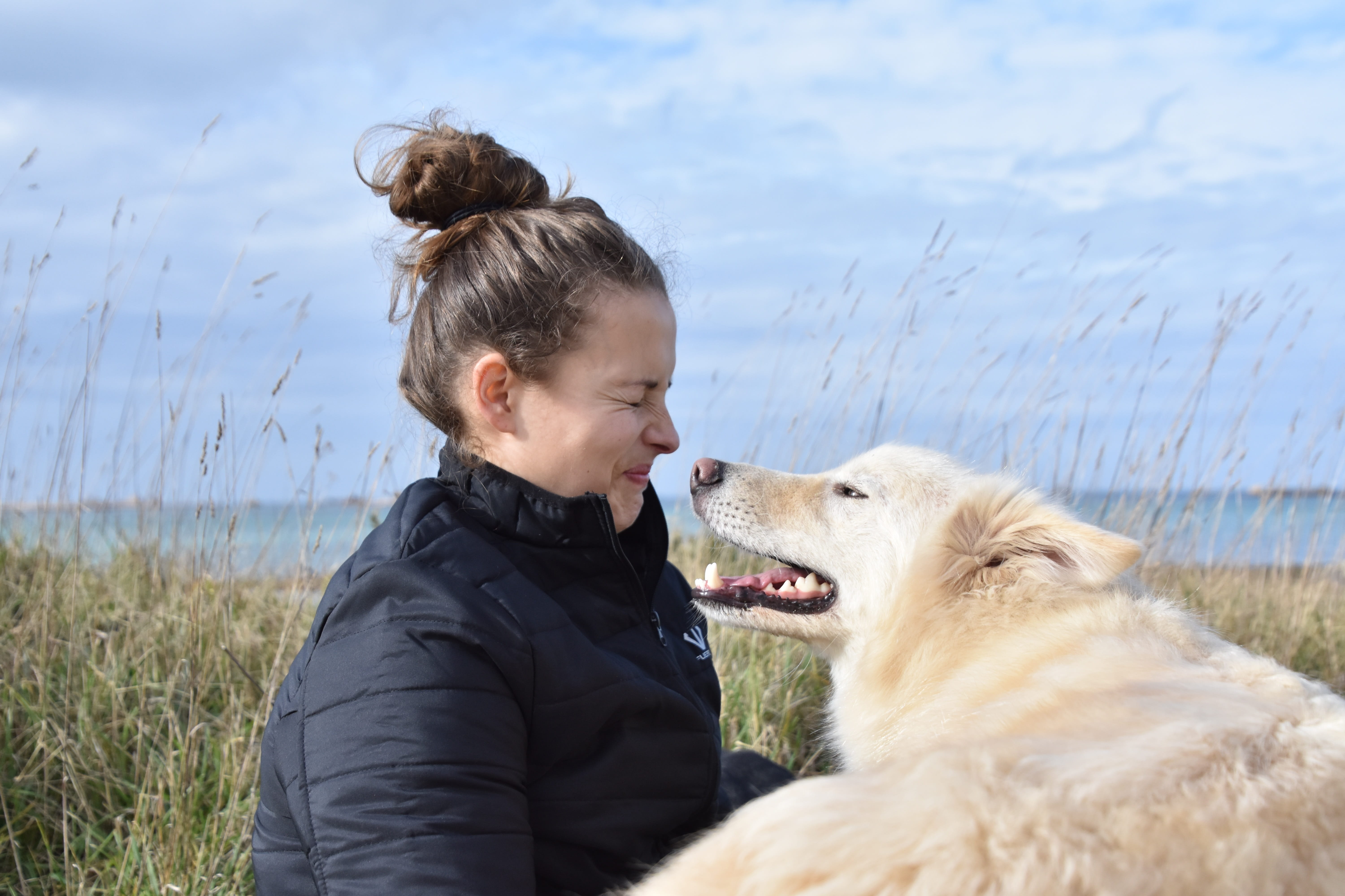 childhood, canine, leisure activity, pets, beach, nature, bordercollie, mammal, vertebrate, dog, water, friendship, one person, outdoors, doggy, pet owner, HD Wallpaper