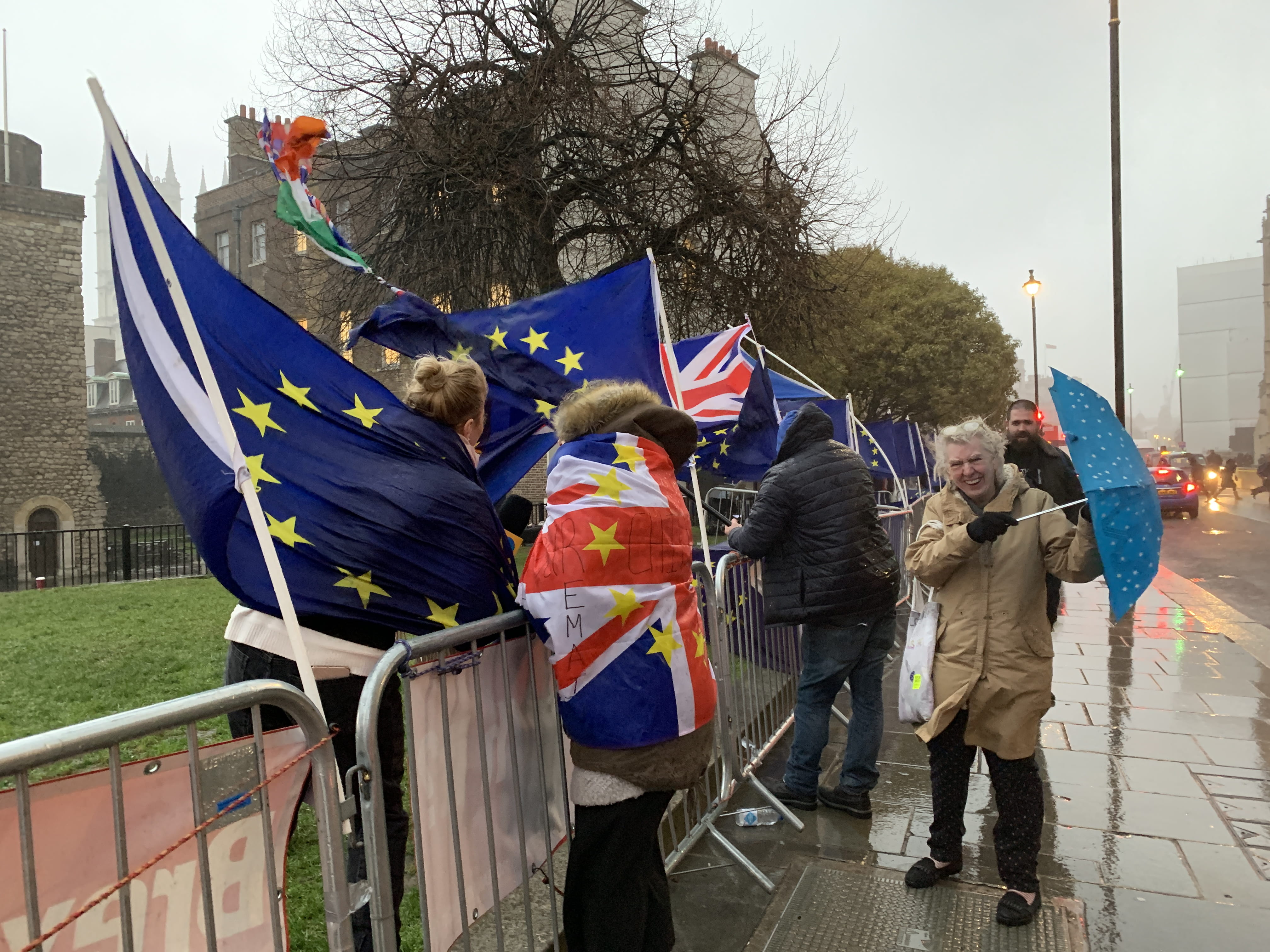 symbol, women, mammal, togetherness, flag, outdoors, flags, men, patriotism, apparel, holding, brexit, human, wet, protest, real people, umbrella, nature, HD Wallpaper