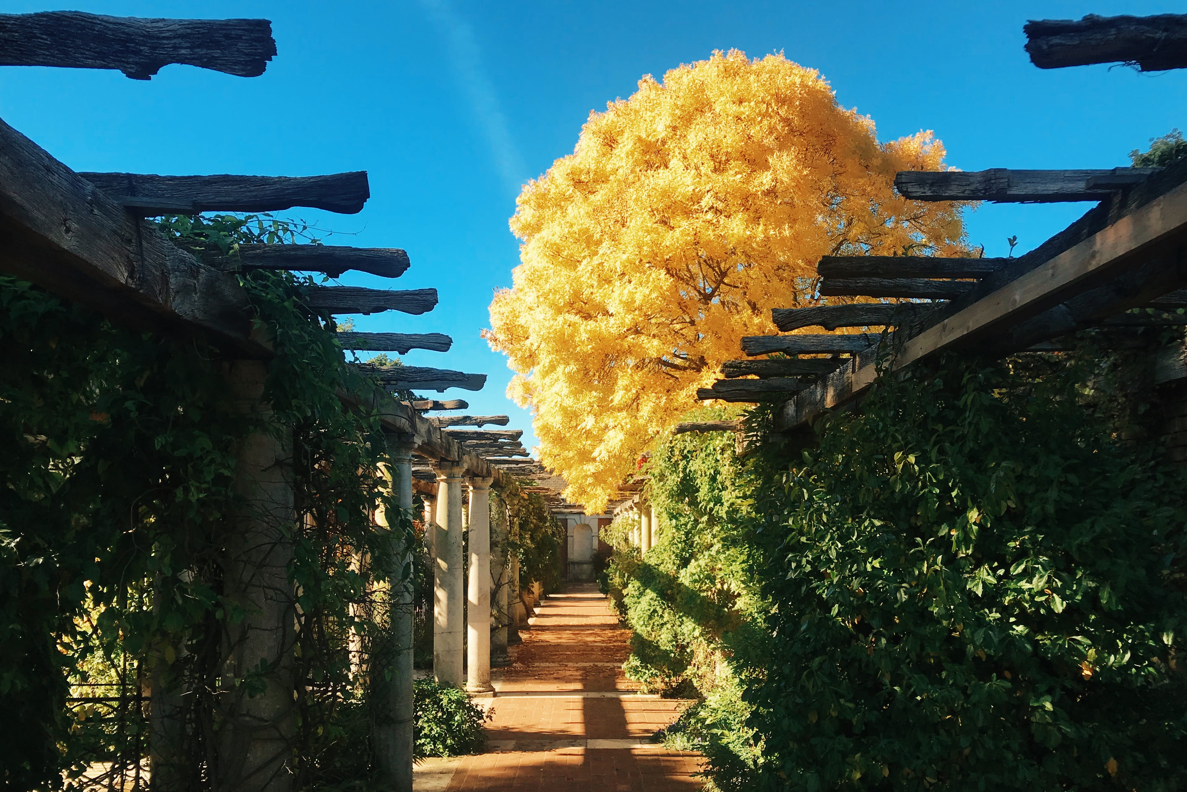 direction, in a row, growth, color, tree, day, london, staircase, nature, 1 inverforth cl, autumn, connection, no people, england, built structure, HD Wallpaper