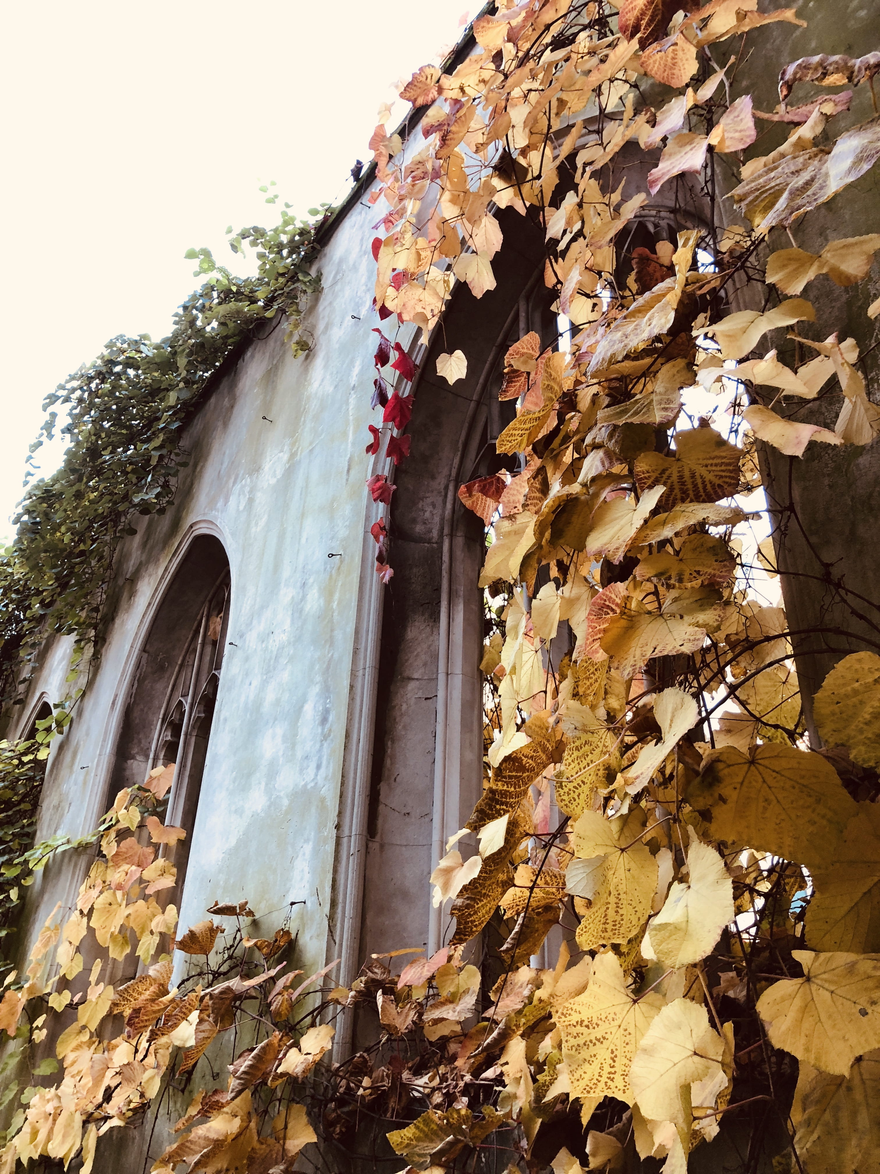 fall, nature, building, architecture, tree, london, ruin, wild, st. dunstan in the east church garden, day, leaf, window, built structure, arch, leaves, Phone HD Wallpaper