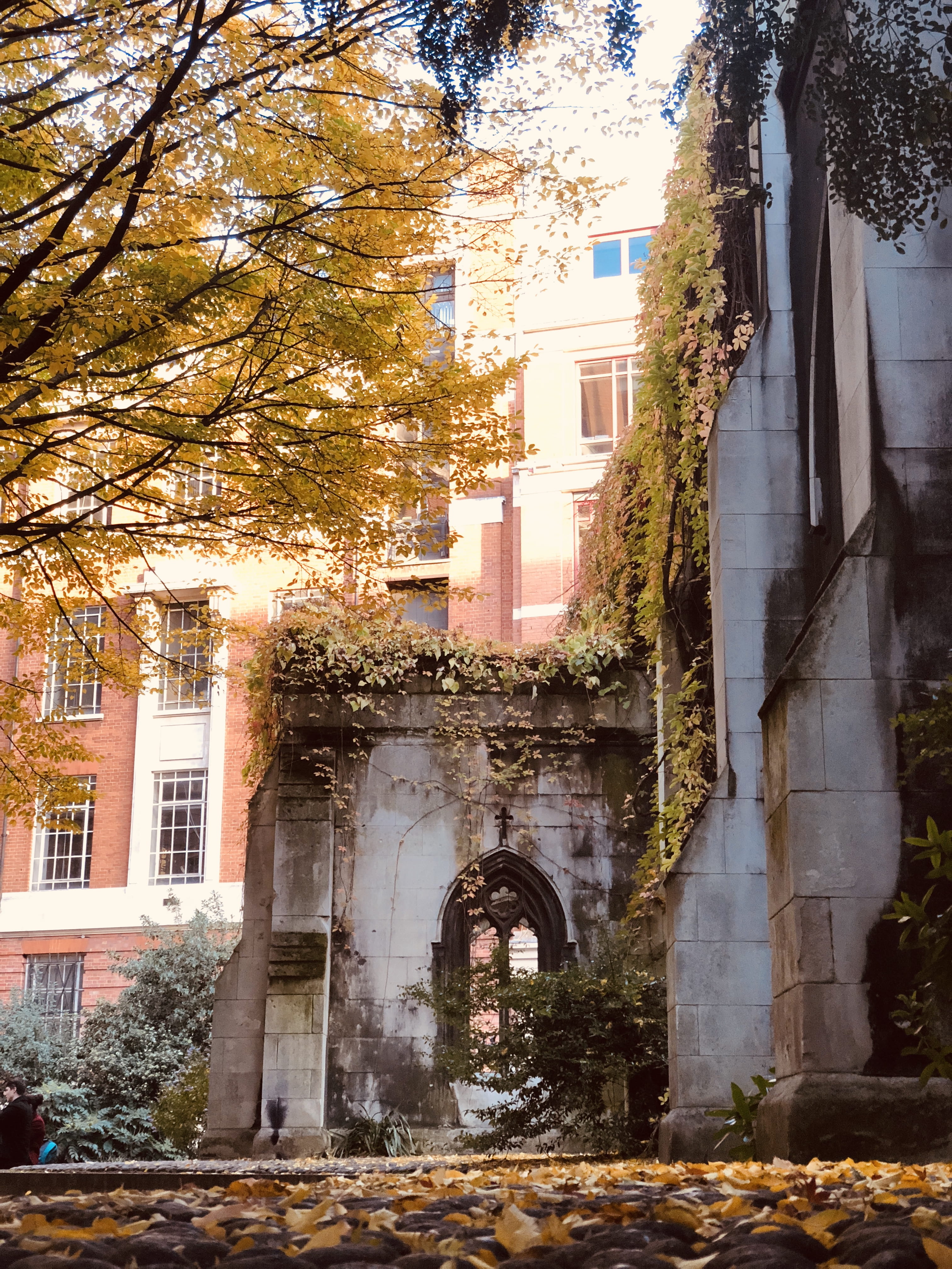 city of london, brown, ruin, afternoon, built structure, golden, tree, abandoned, growth, london, united kingdom, plant, city, church, architecture, autumn, Phone HD Wallpaper