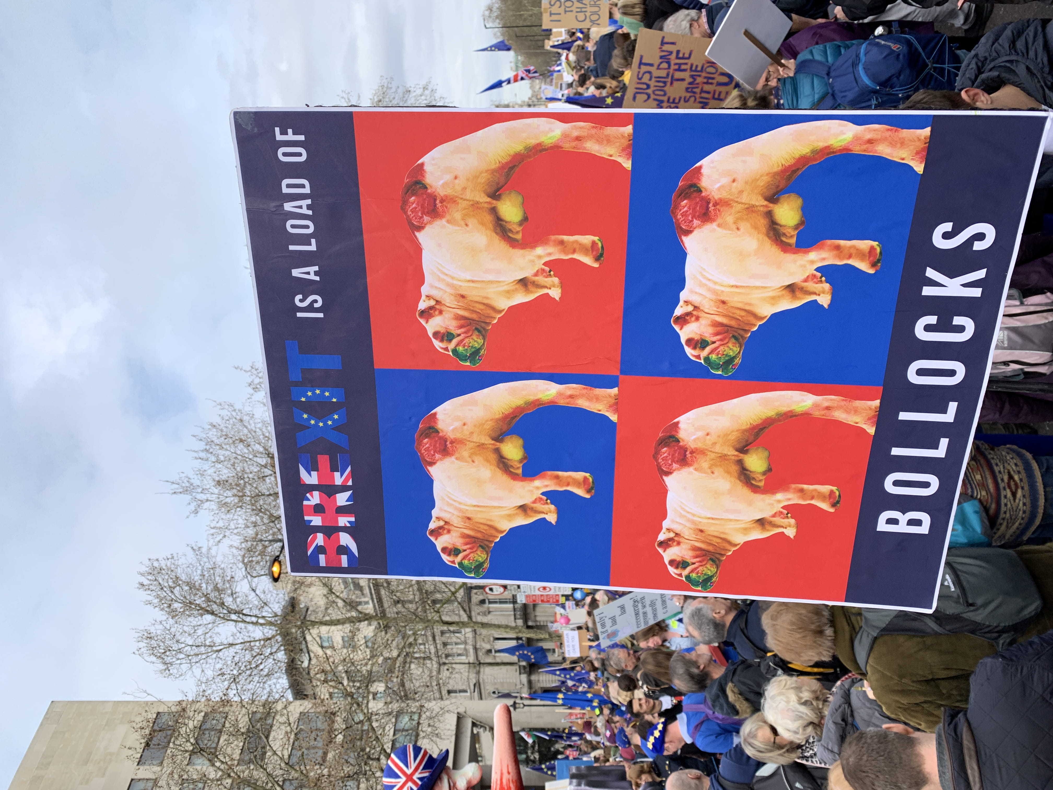 nature, mural, text, canine, pet, representation, art and craft, protest, day, crowd, communication, sculpture, tree, advertisement, piccadilly, no people, HD Wallpaper