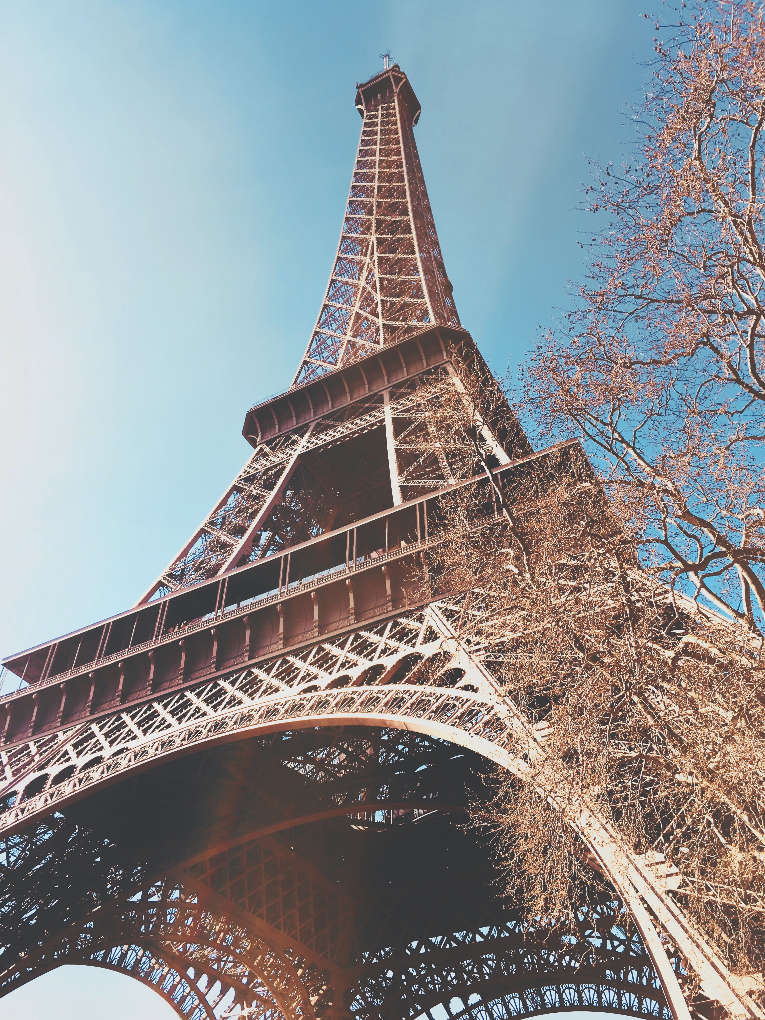 bridge, tall - high, low angle view, building, arch bridge, tree, france, paris, outdoors, trees, metal, the past, arch, minimalistic, history, tower, architecture, Phone HD Wallpaper