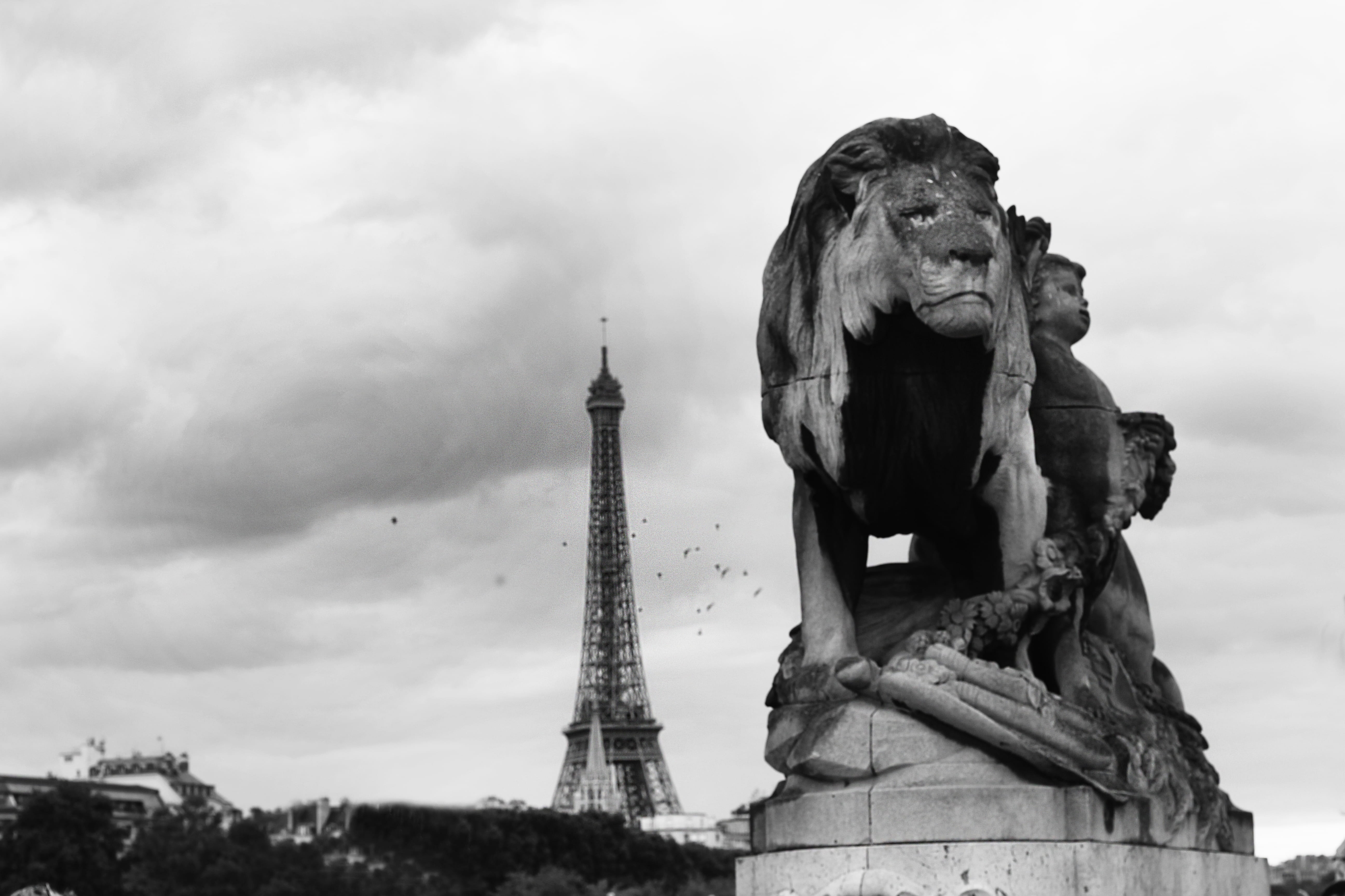 paris, travel destinations, art and craft, statue, sculpture, creativity, male likeness, nature, city, france, built structure, human representation, no people, HD Wallpaper