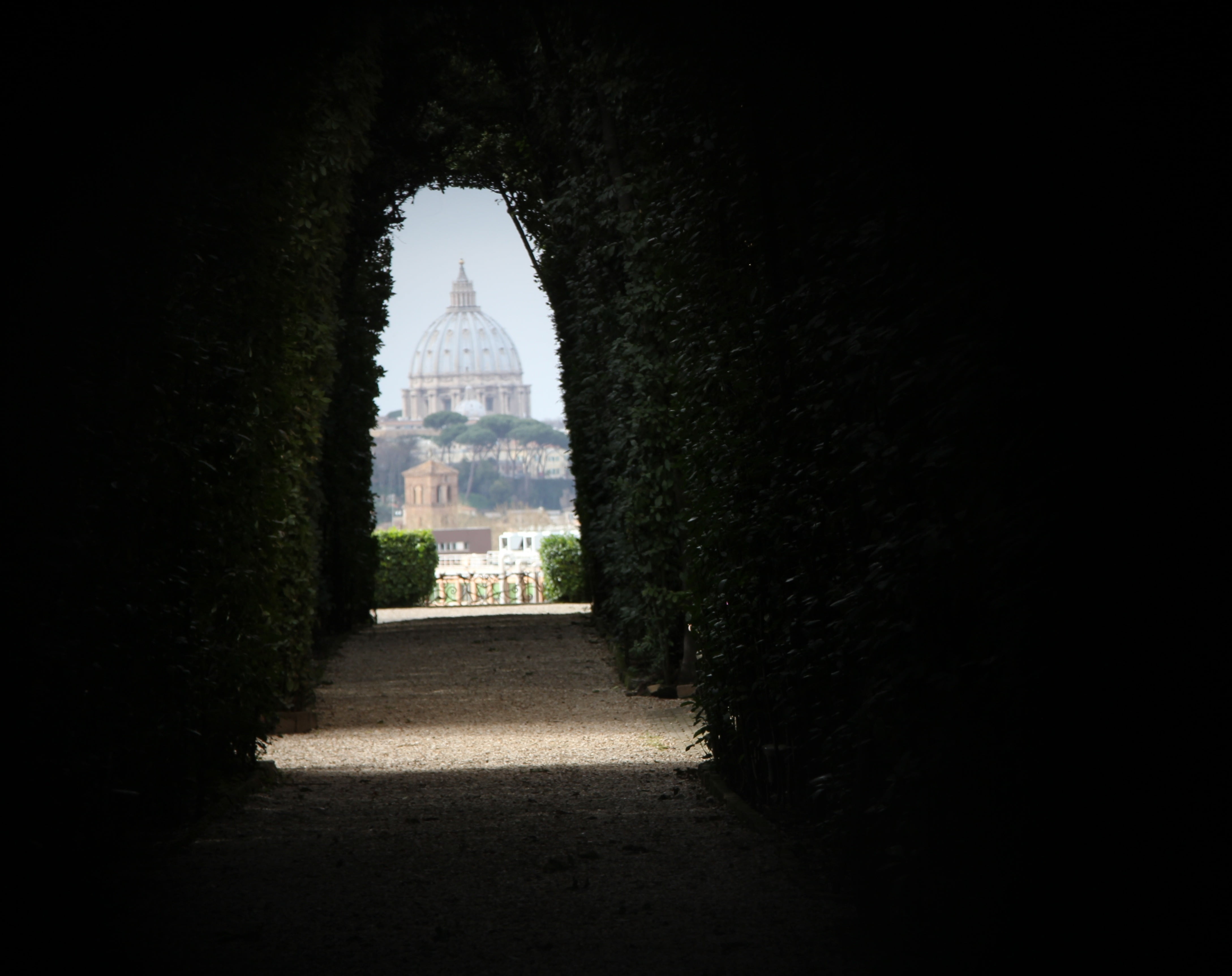 building, plant, outdoors, st peters basilica, sky, garden, arch, treelined, tree, cathedral, no people, built structure, direction, day, vatican, religion, HD Wallpaper