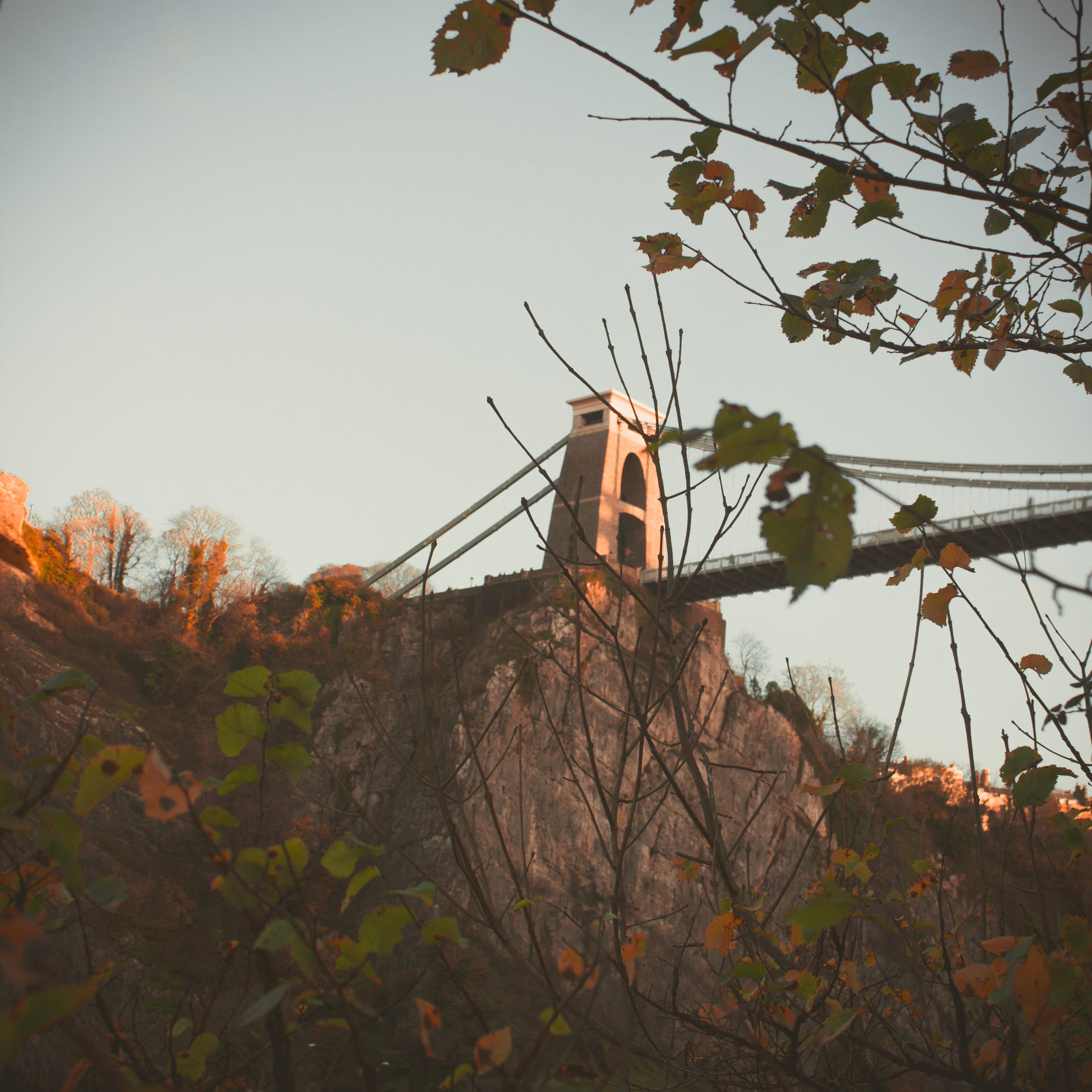 suspension bridge, orange, tree, brisol, change, tranquility, built structure, bridge, no people, outdoors, growth, branch, walk, autumn, 2K, canon, clear sky, Phone HD Wallpaper