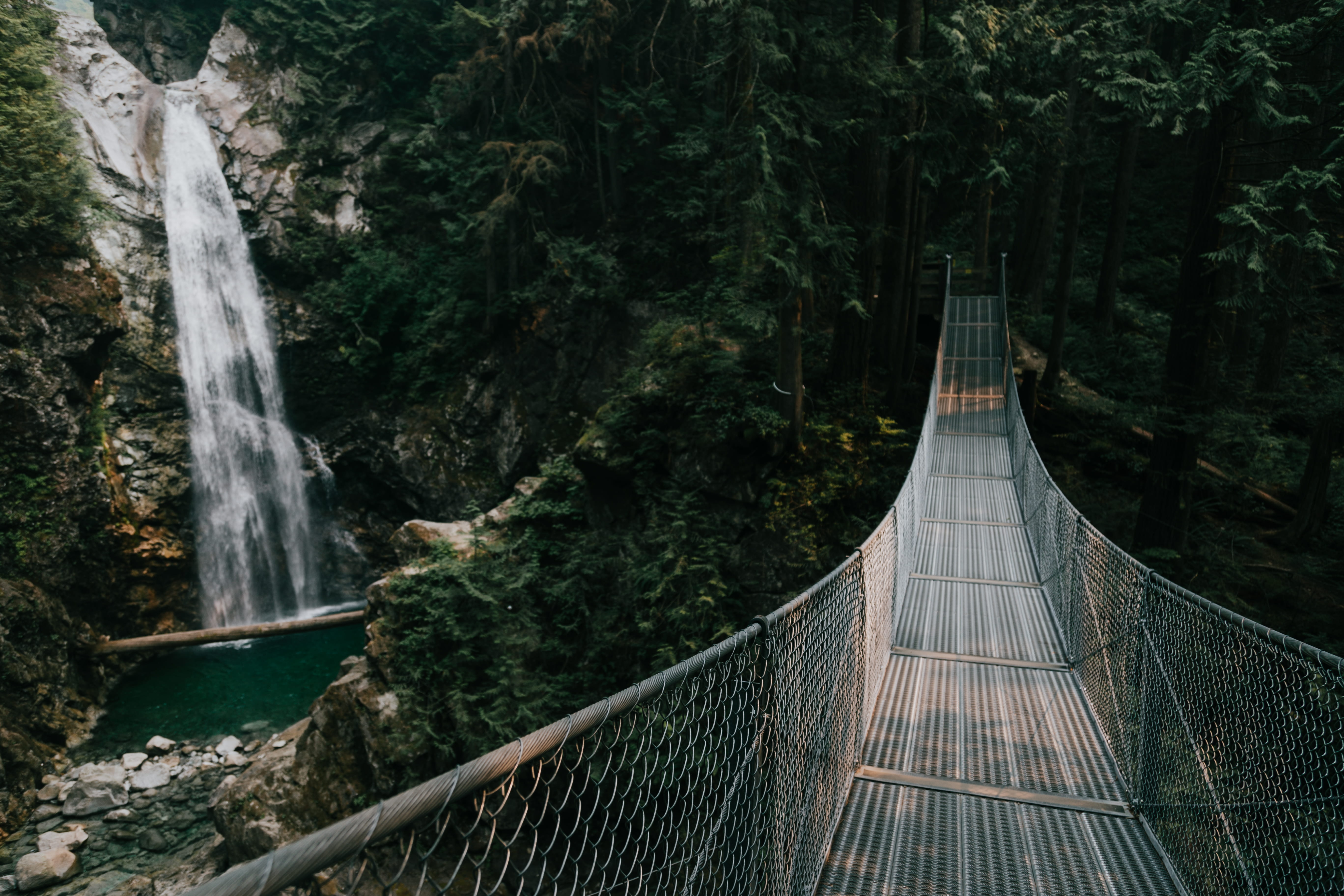 near, rainforest, suspension Bridge, national Park, hanging, uSA, movement, national Landmark, travel, green Color, wire, bridge - Vessel Part, river, scenery, HD Wallpaper