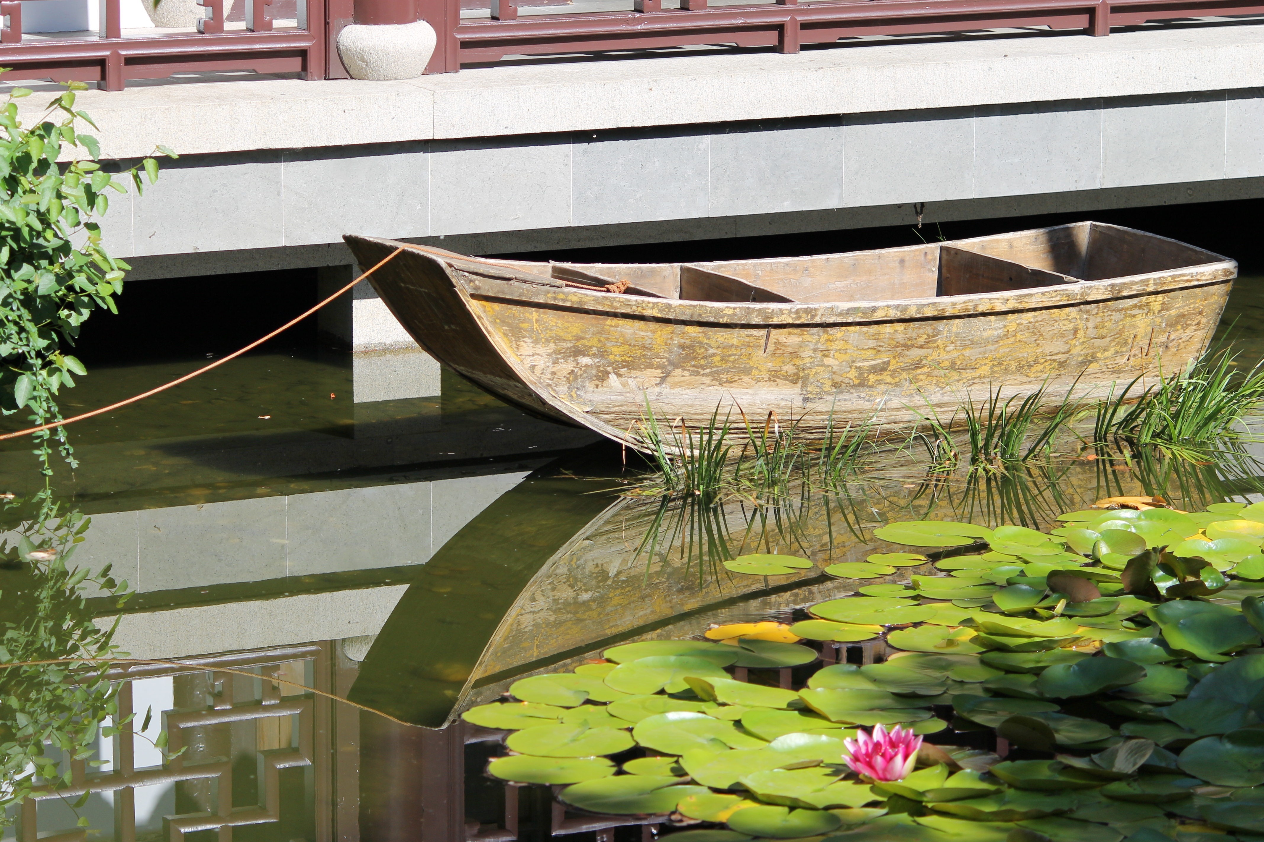 boating, wooden, pound, outdoors, 4K, arch bridge, built structure, lotus water lily, plant, floating on water, water, flowering plant, leaf, reflection, HD Wallpaper