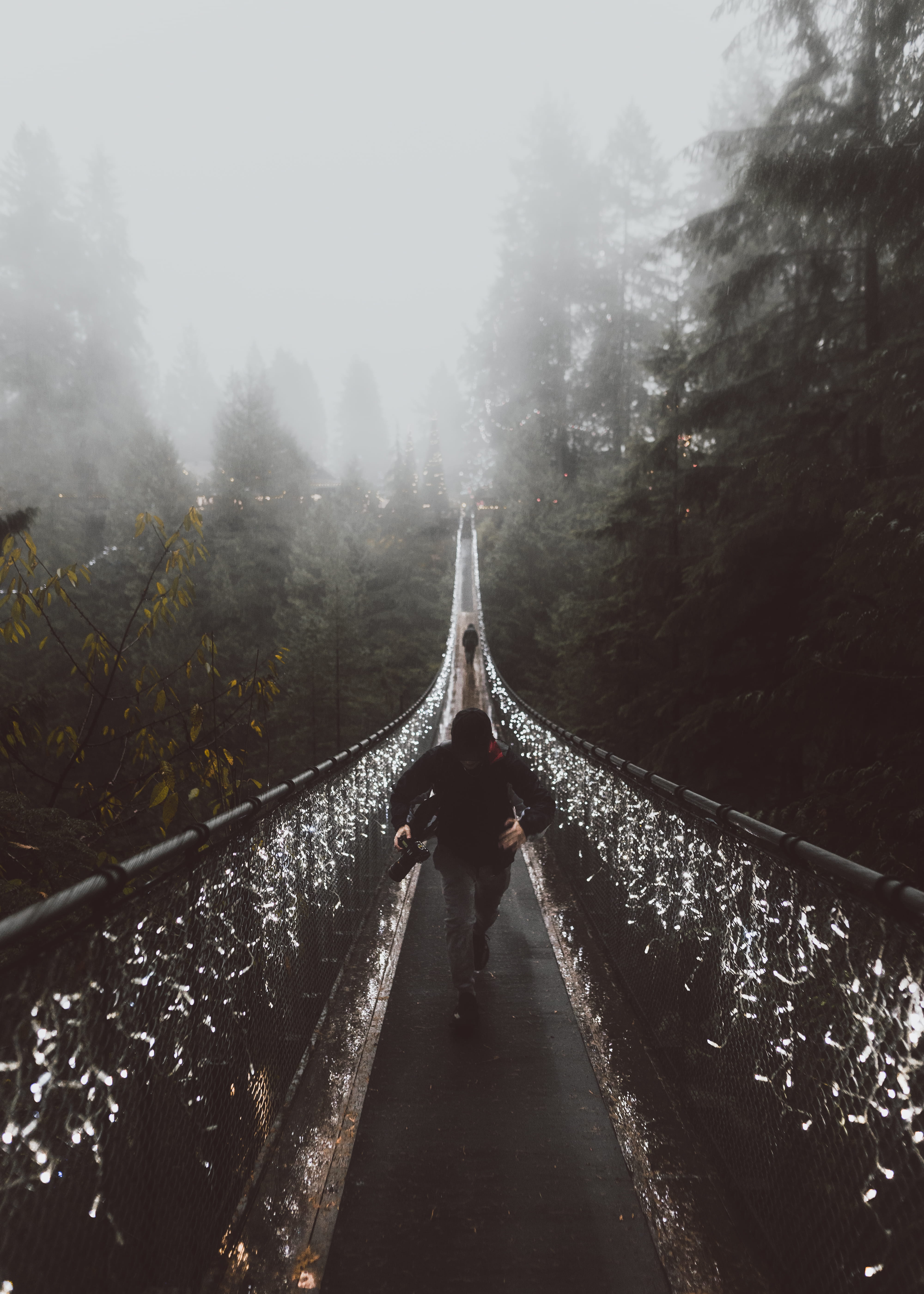 rain, mountain, bridge - Man Made Structure, wanderlust, forest, famous Place, structure, bridge - Vessel Part, nature, christmas, architecture, outdoors, Phone HD Wallpaper
