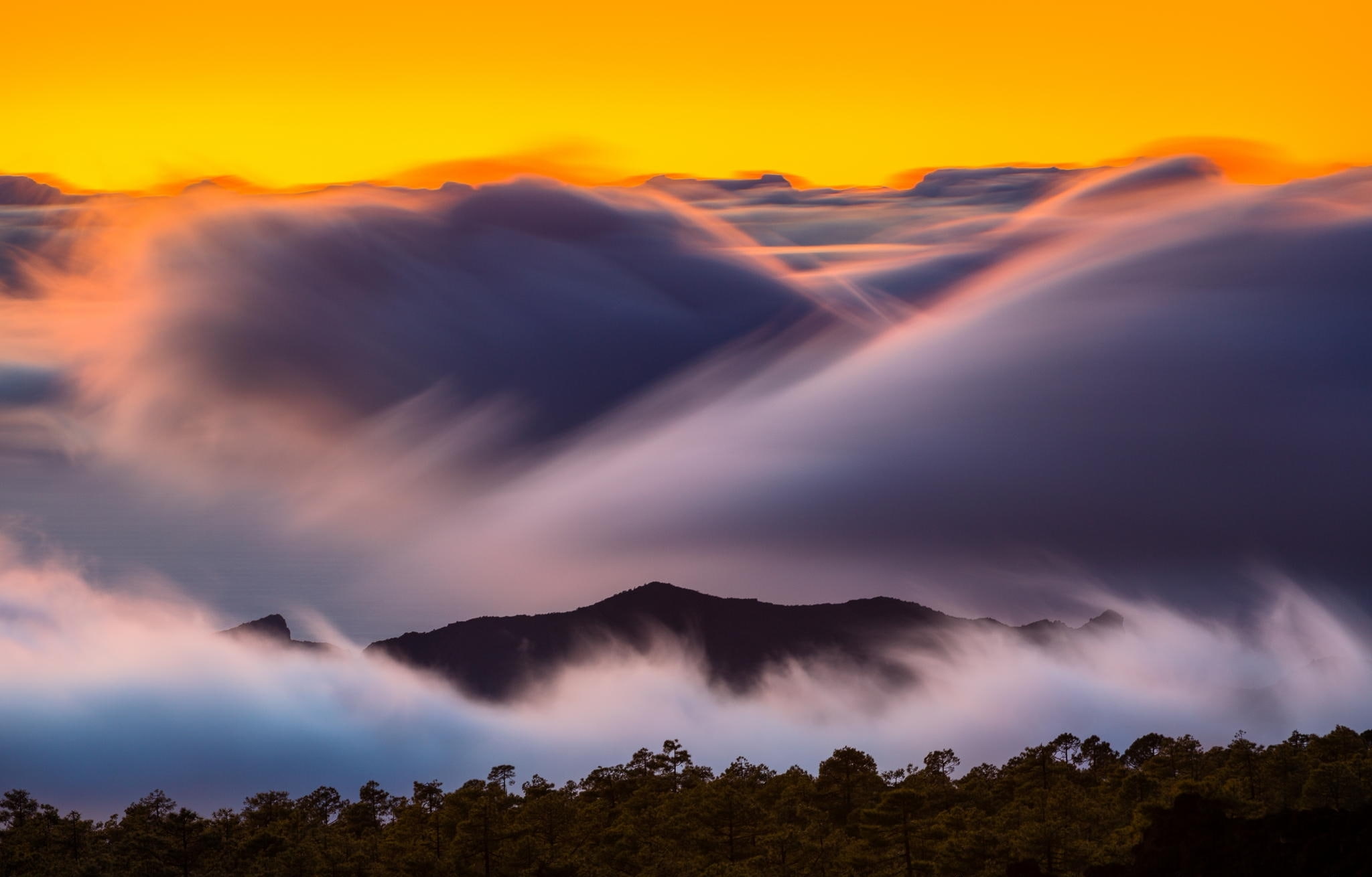 trees, mountains, forest, clouds, height, excerpt, dawn, 1080P, HD Wallpaper