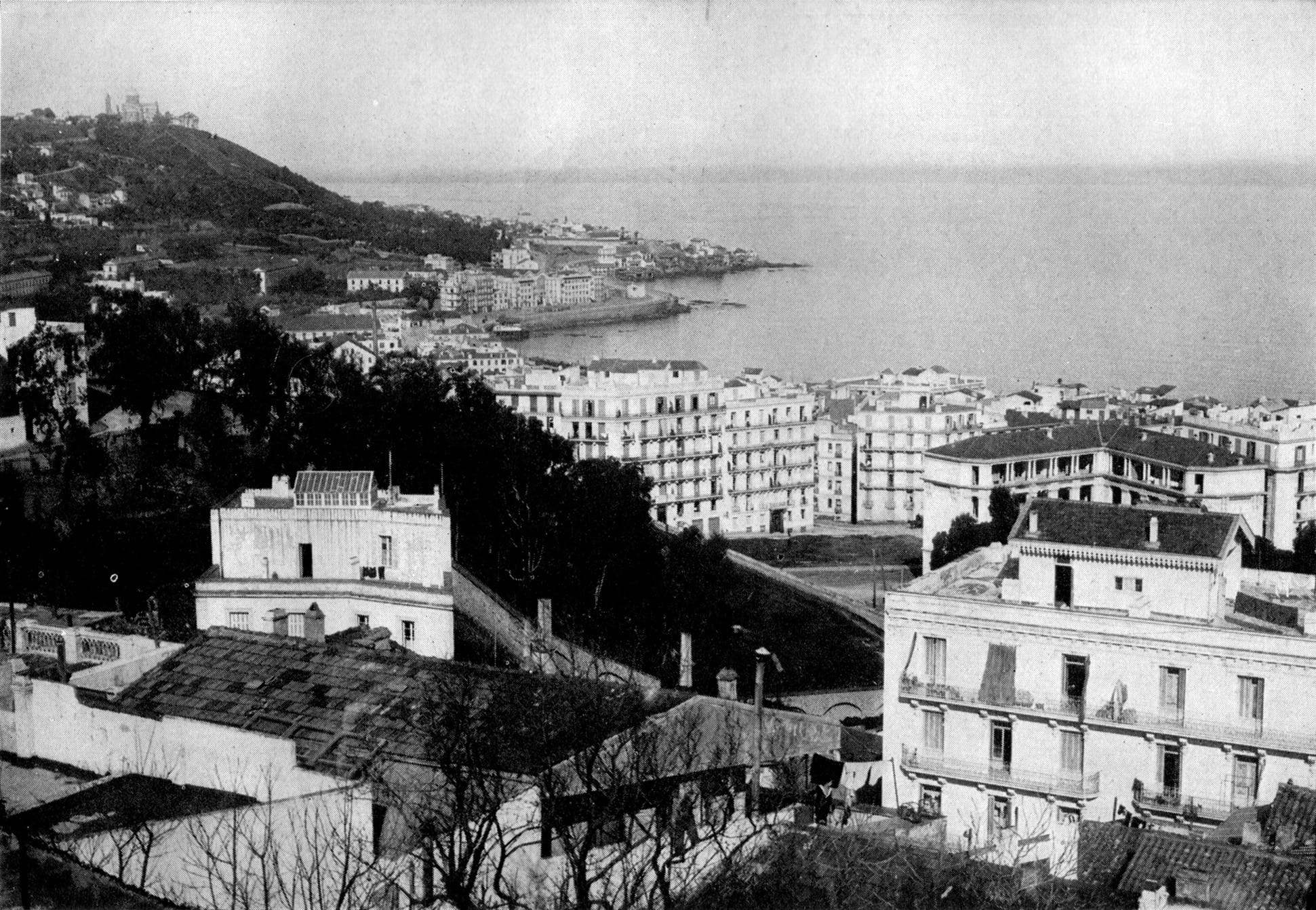 building exterior, City, concepts And Ideas, vintage, tree, cityscape, old, Algeria, building, visual Art, history, day, harbour, no people, arts And Entertainment, HD Wallpaper