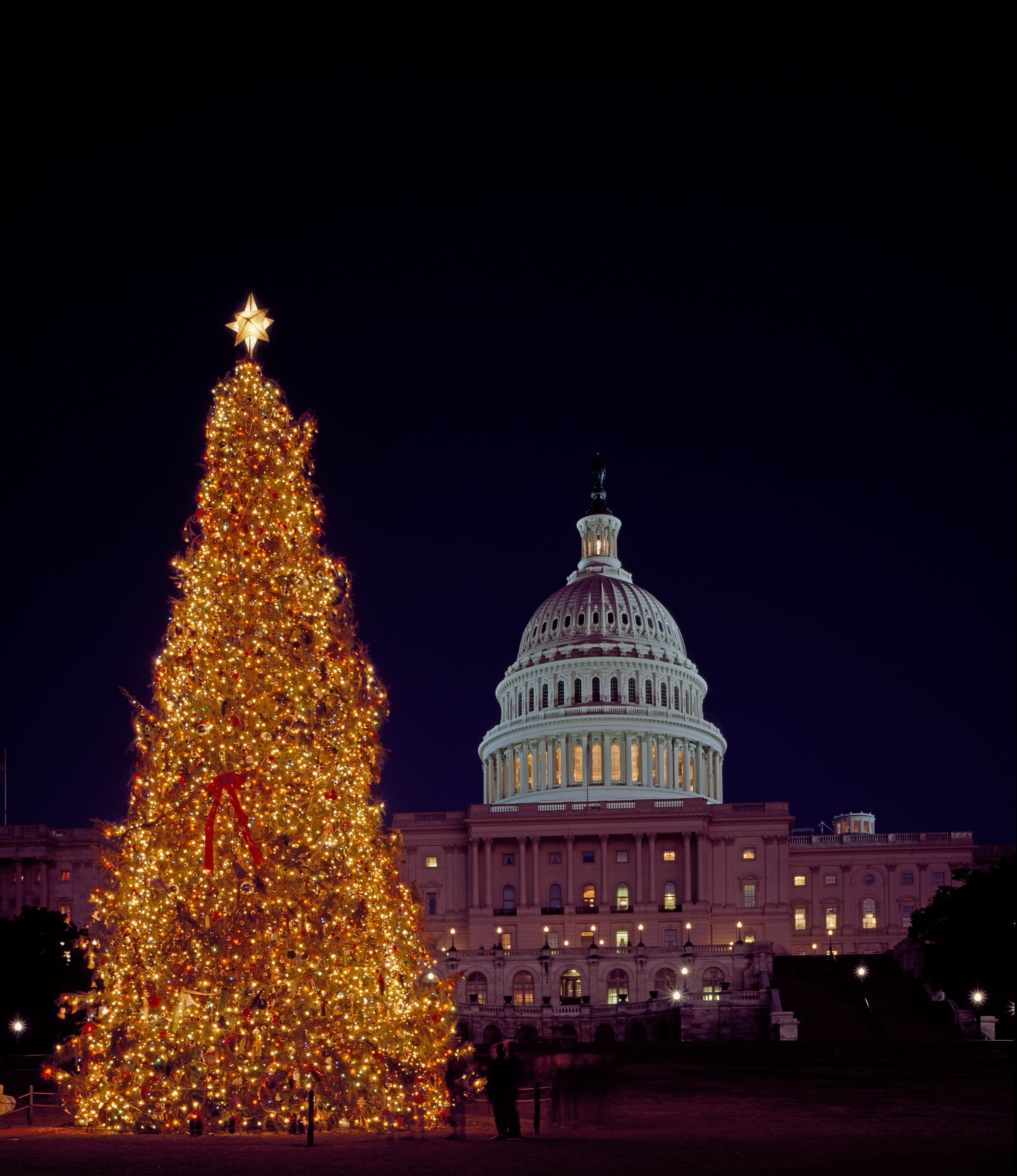 building exterior, night, christmas lights, christmas ornament, capitol, celebration, bright, no people, festive, government, winter, washington dc, architecture, Phone HD Wallpaper