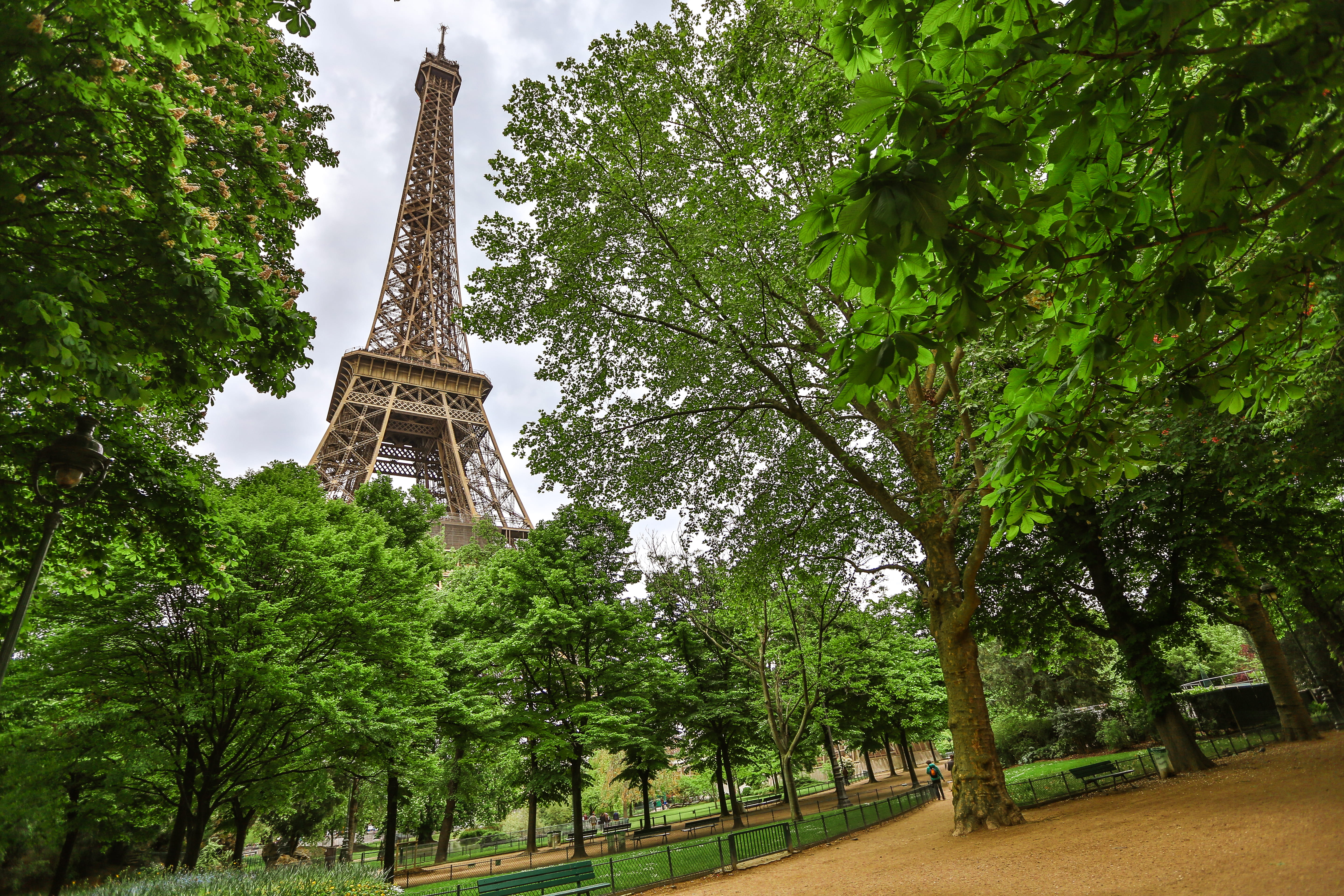 champ de mars, daytime, metal, travel destinations, park, tree, tall, nature, low angle view, built structure, tower, building, tall - high, the past, trees, HD Wallpaper