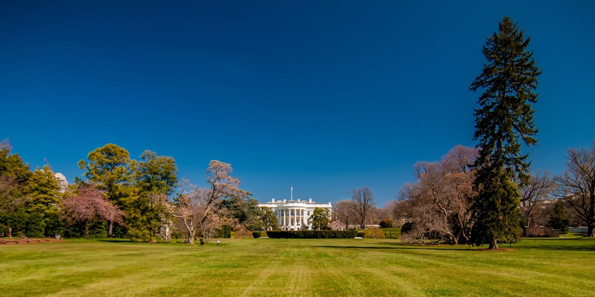 exterior, home, white house, columbia, no people, built structure, 1080P, democracy, beautiful, government, green color, american, bush, plant, copy space, HD Wallpaper