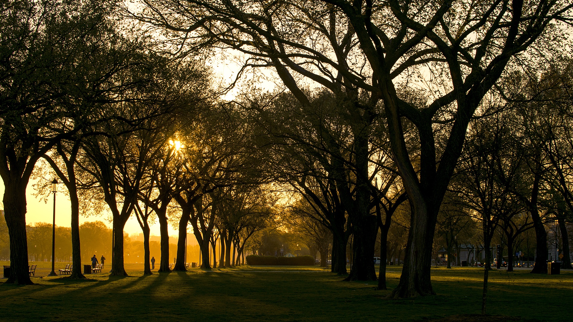 photo, tranquility, direction, tourism, tree, sunlight, plant, columbia, park, government, diminishing perspective, the way forward, mall, footpath, sky, HD Wallpaper