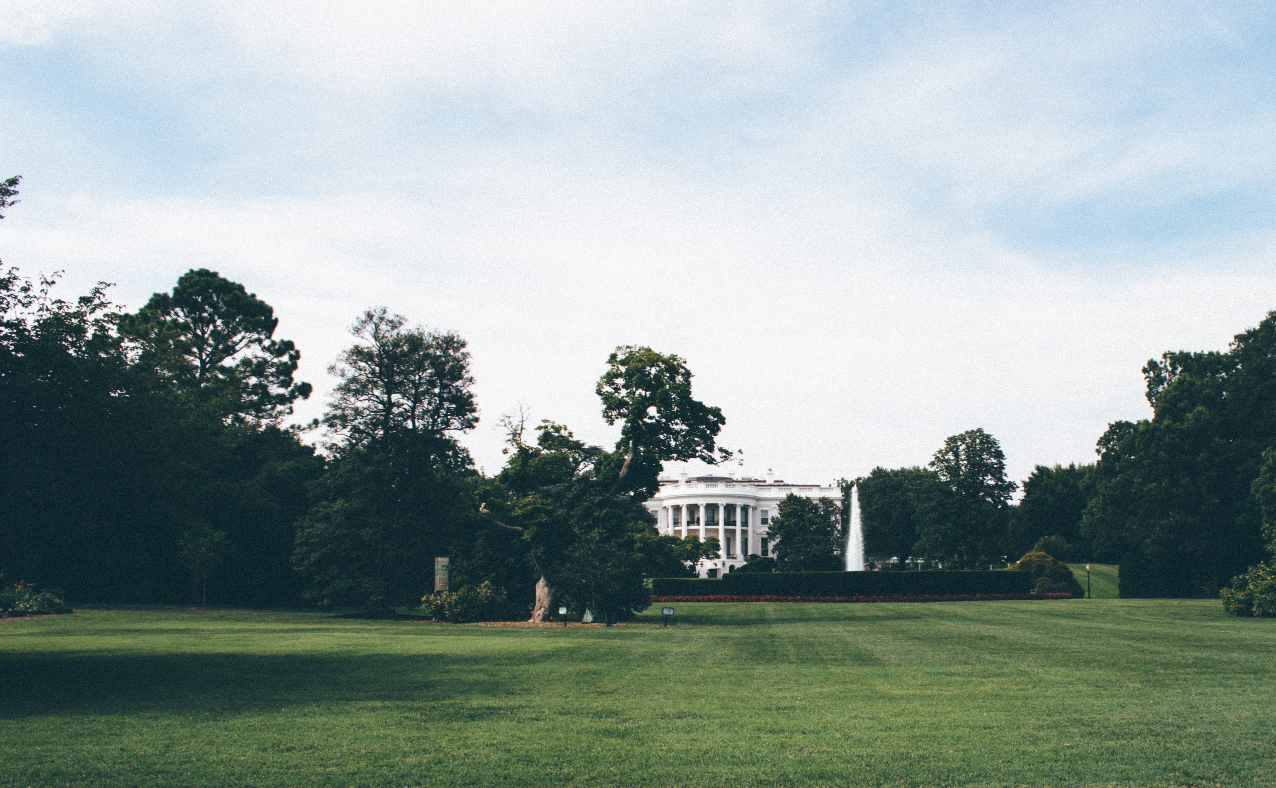 green color, no people, usa, barack obama, america, capital, the past, tree, 4K, capitol, outdoors, building exterior, united states, park - man made space, HD Wallpaper