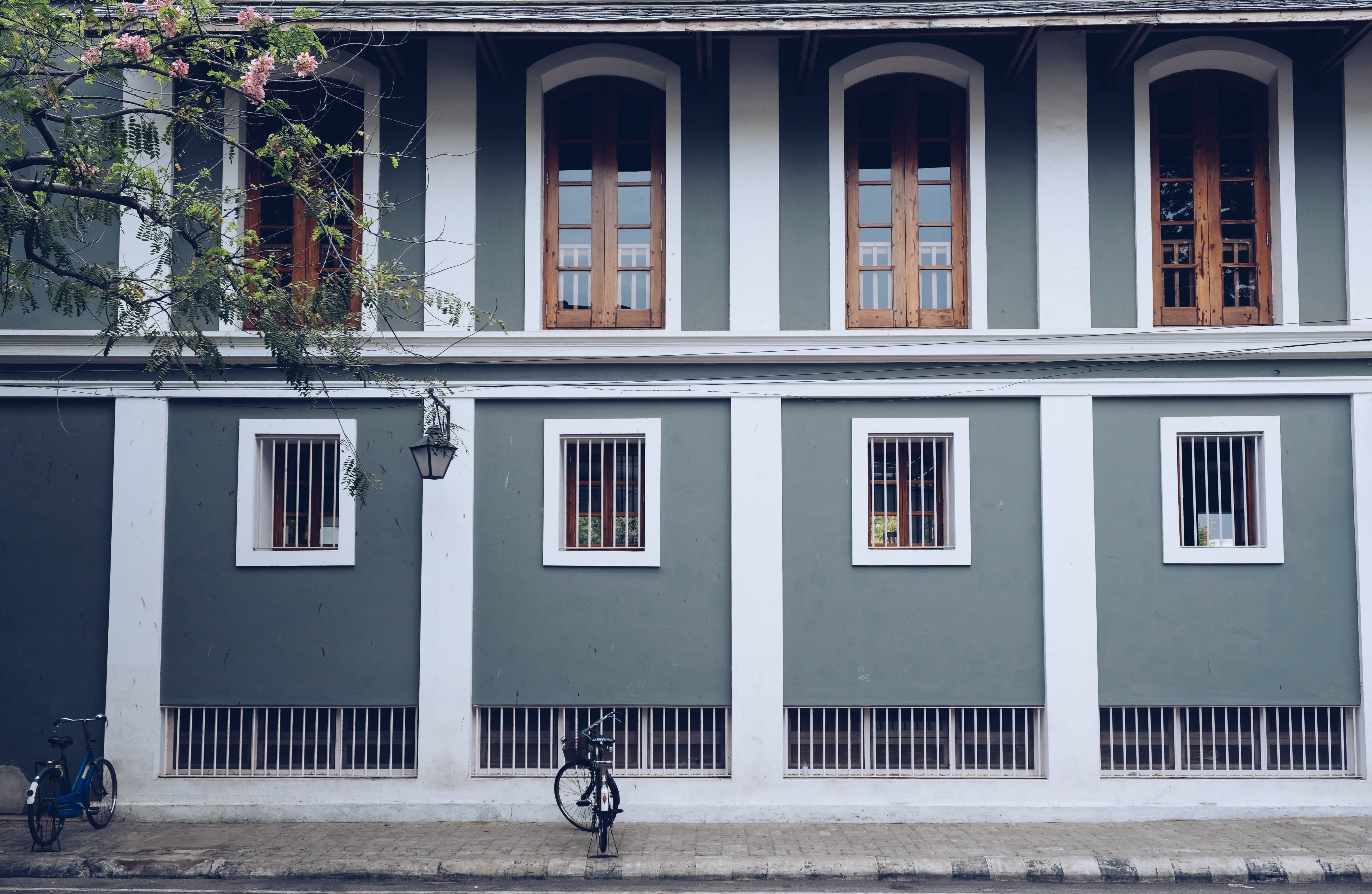 residential district, glass - material, no people, potted plant, side by side, in a row, storey, built Structure, building, bike, building Exterior, urban Scene, HD Wallpaper