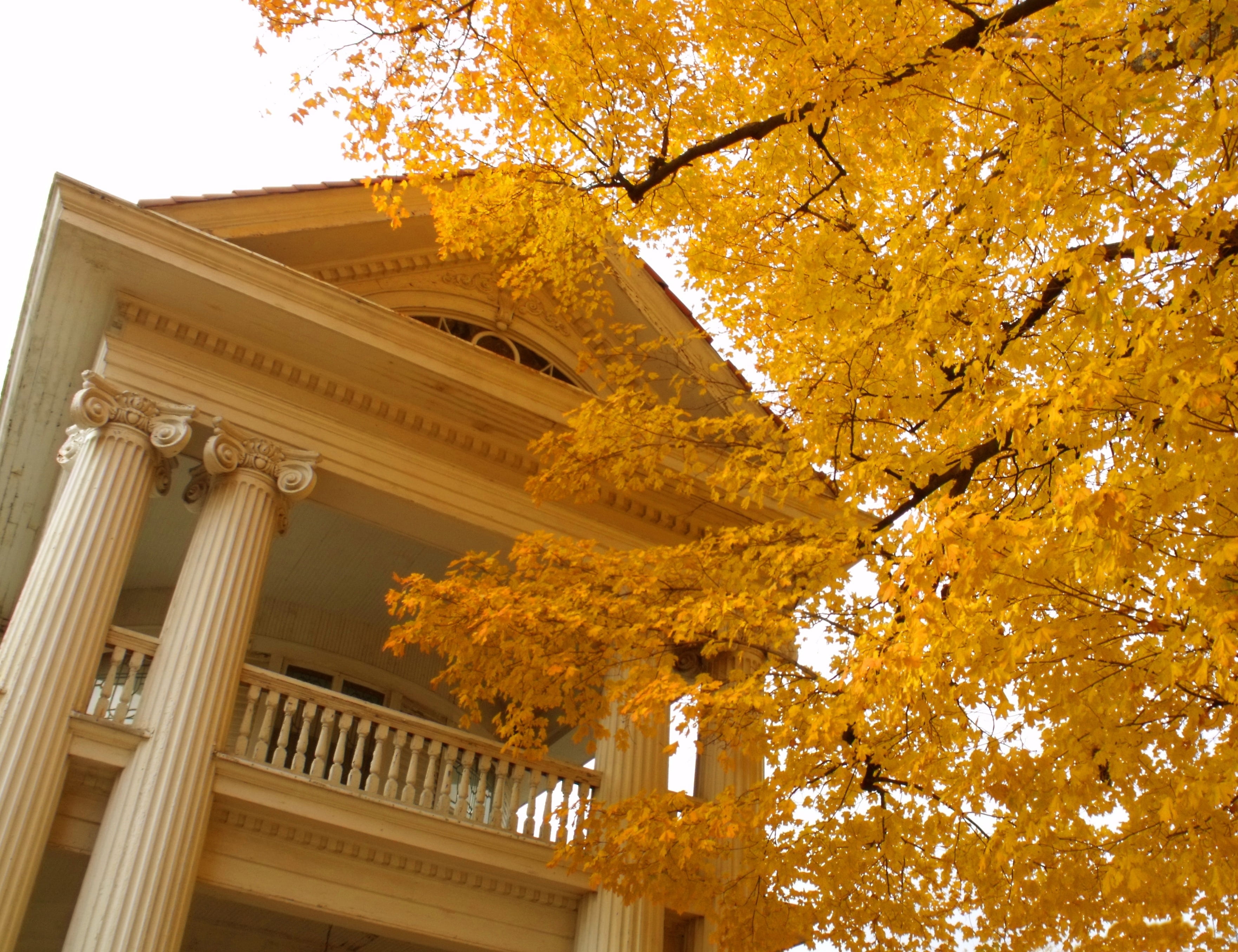 white, exterior, the past, house, fall, sky, storeys, outdoors, built structure, plant, branch, seasons, multiple, building exterior, leaves, political, HD Wallpaper