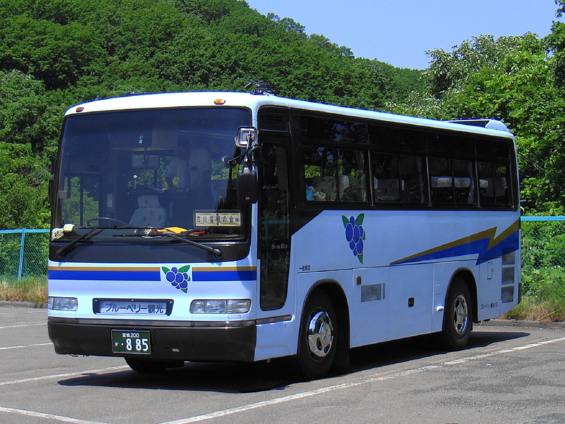 white, motorbus, japan, stationary, outdoors, road, blue, parked, nature, no people, black, passenger, daytime, land vehicle, mass, tree, truck, journey, HD Wallpaper
