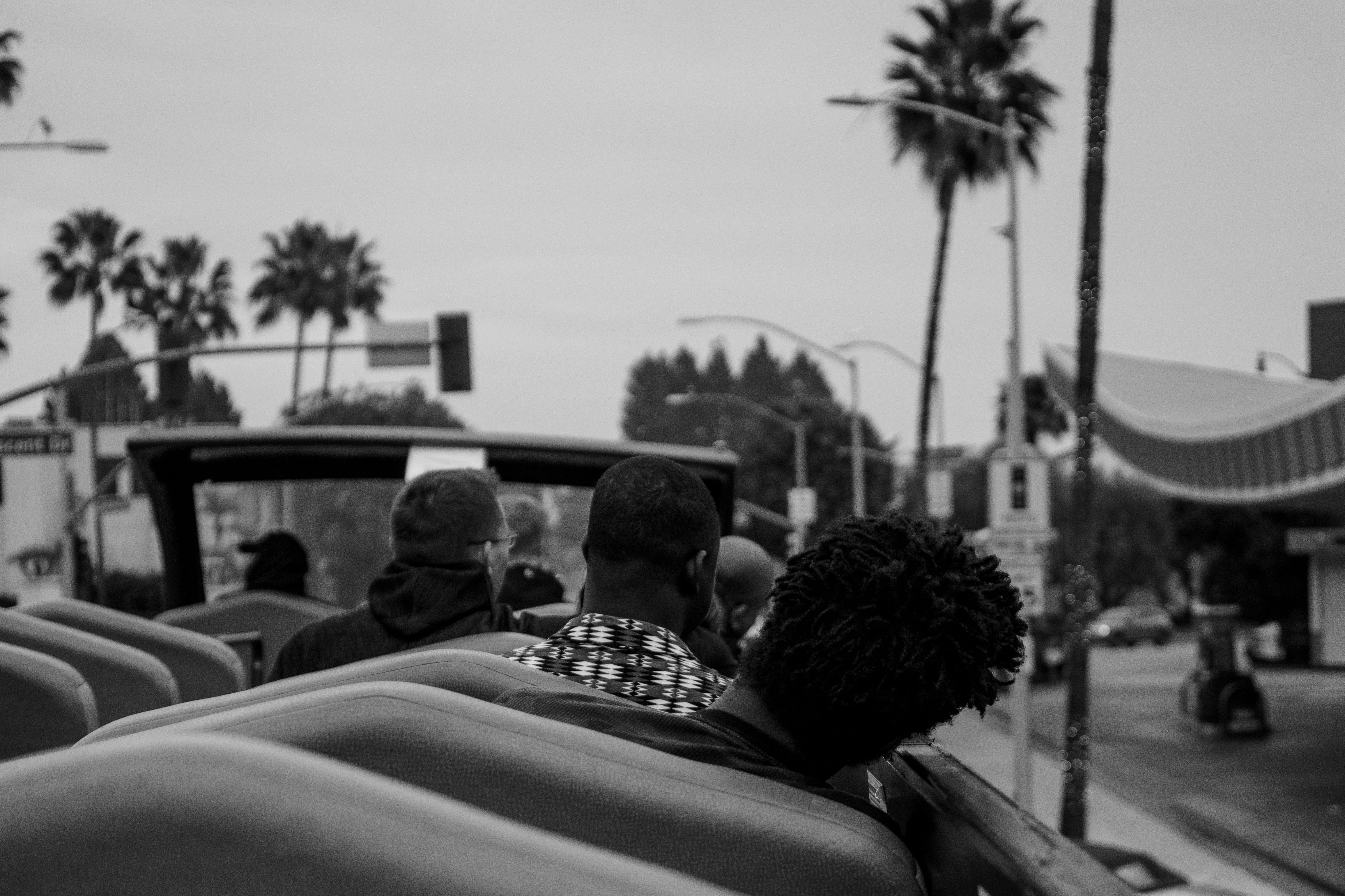 palm tree, architecture, riding, nature, black-and-white, men, photo, city, togetherness, man, sky, travel, double-decker bus, leisure activity, adult, HD Wallpaper