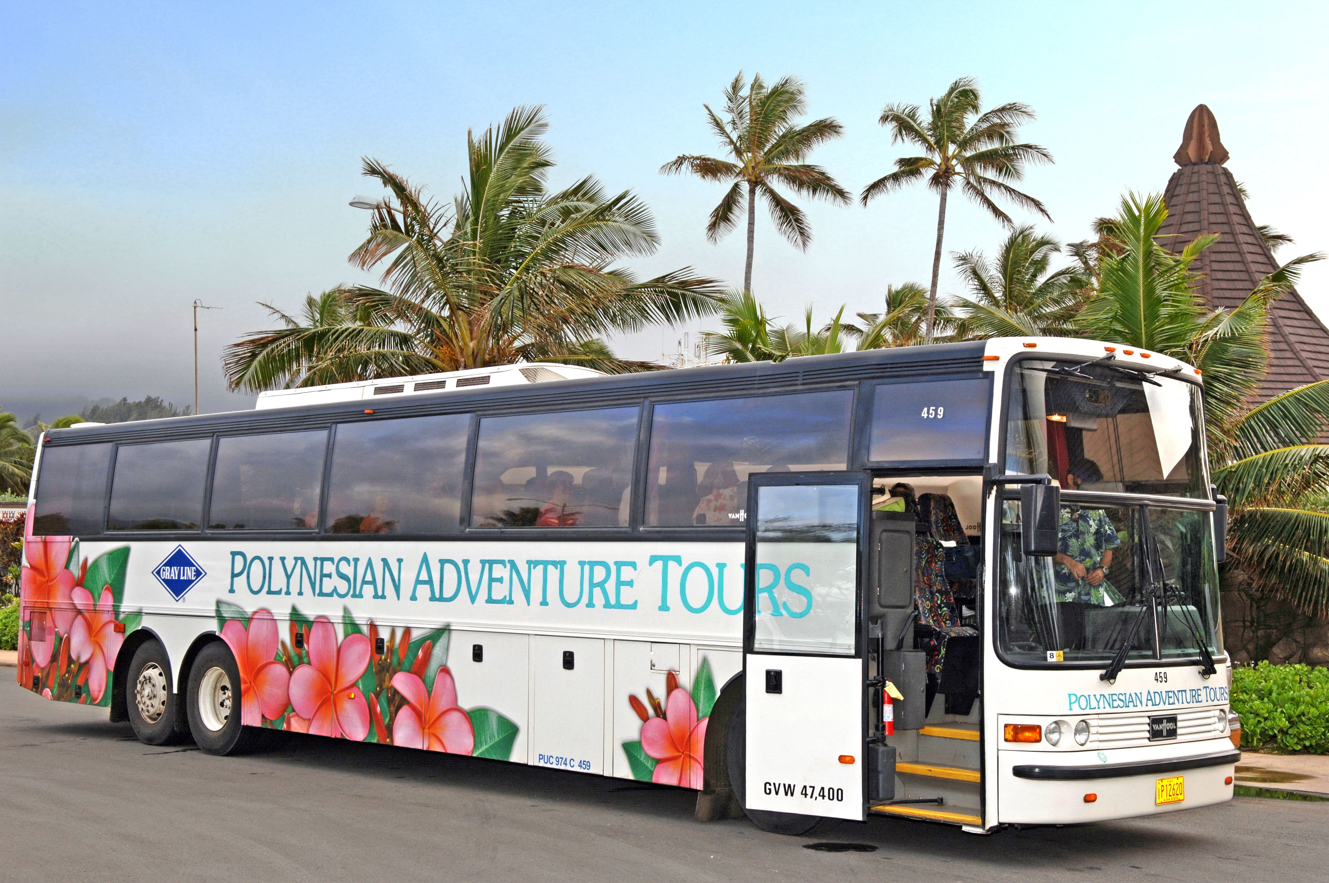 nature, coconut palm tree, plant, palm tree, no people, tropical climate, city, bus, sky, buidling, day, street, hawaii, western script, motor vehicle, HD Wallpaper