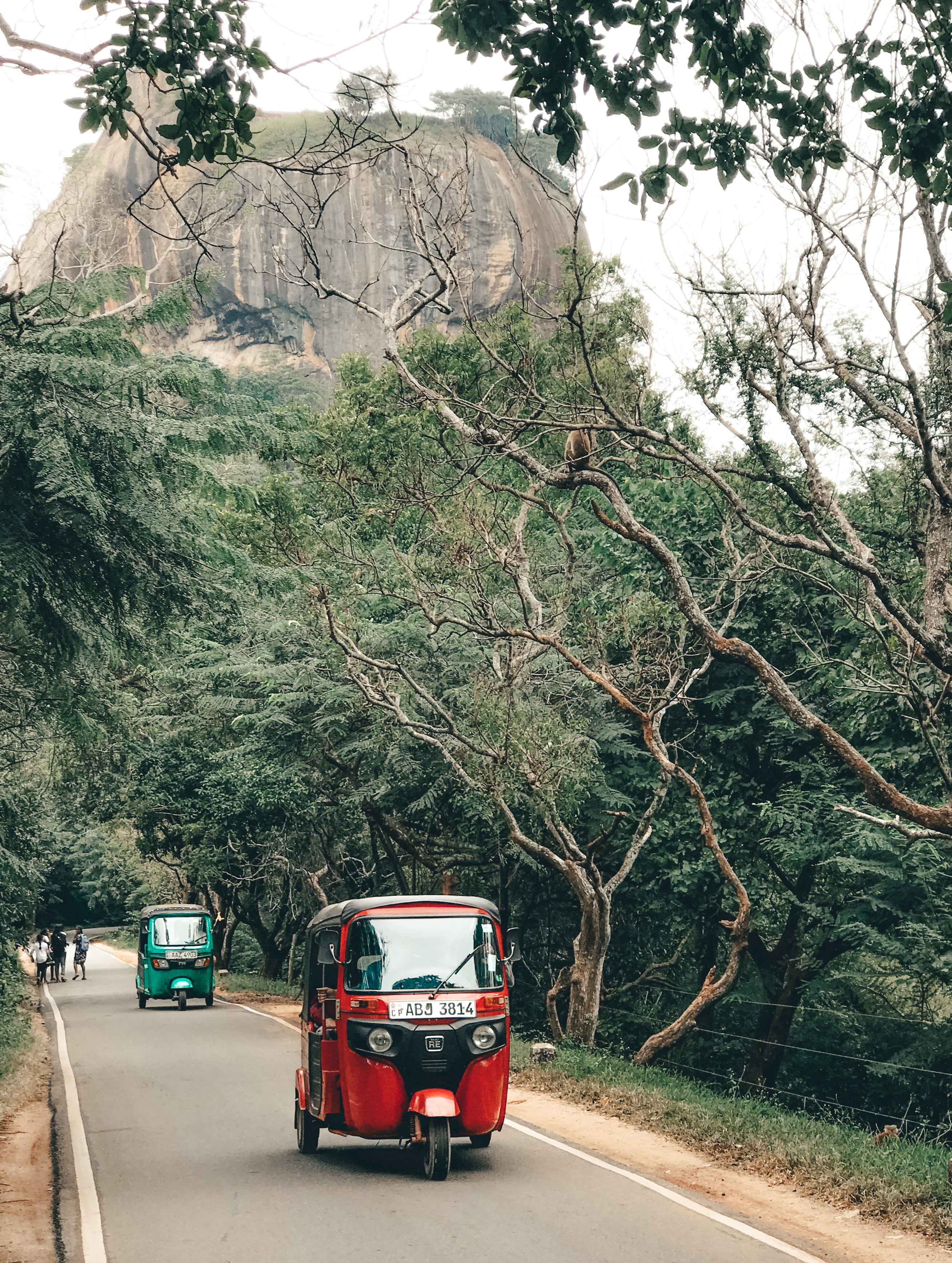 land vehicle, day, highway, city, van, automobile, motor vehicle, tricycle, bus, plant, truck, mesa, red, street, mode of transportation, green, tarmac, Phone HD Wallpaper