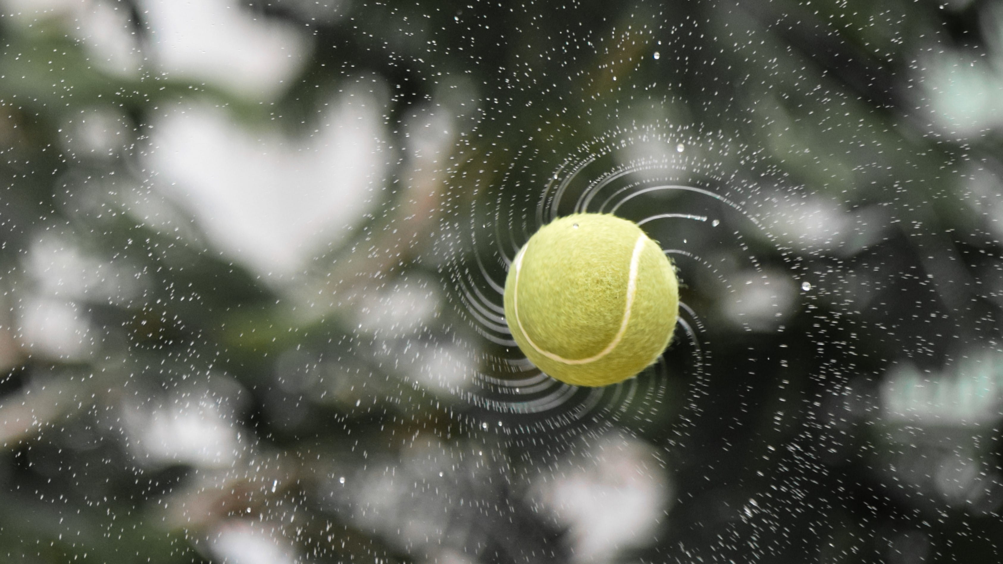 one animal, competition, close-up, nature, green color, day, no people, ball, 2K, spin, mid-air, sphere, selective focus, speed, cold temperature, plant, HD Wallpaper