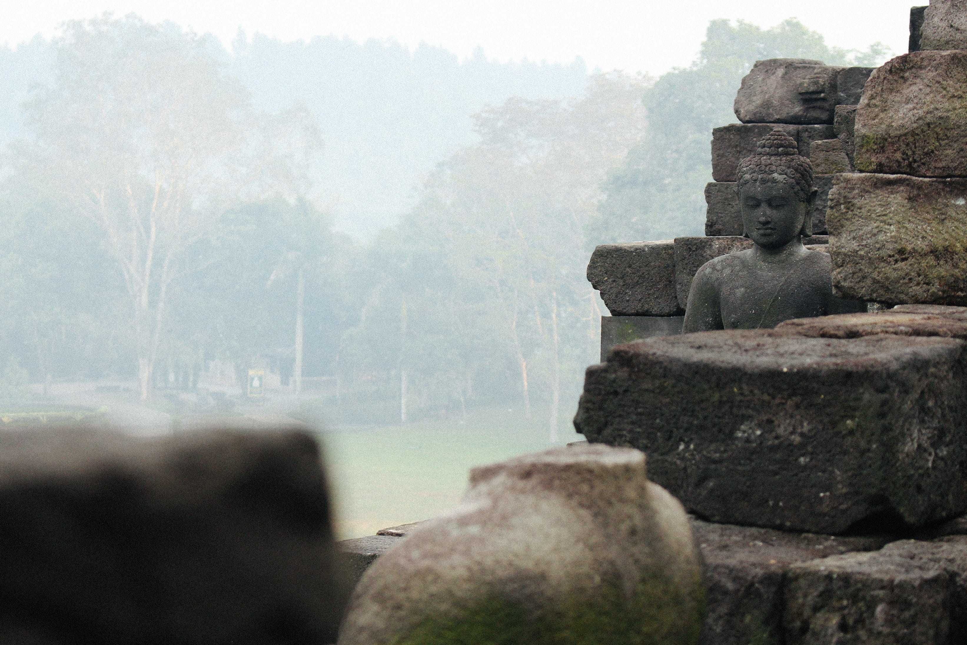 fog, forest, day, place of worship, tree, religion, tranquility, rocks, history, architecture, no people, borobudur temple, 2K, nature, indonesia, ancient, HD Wallpaper
