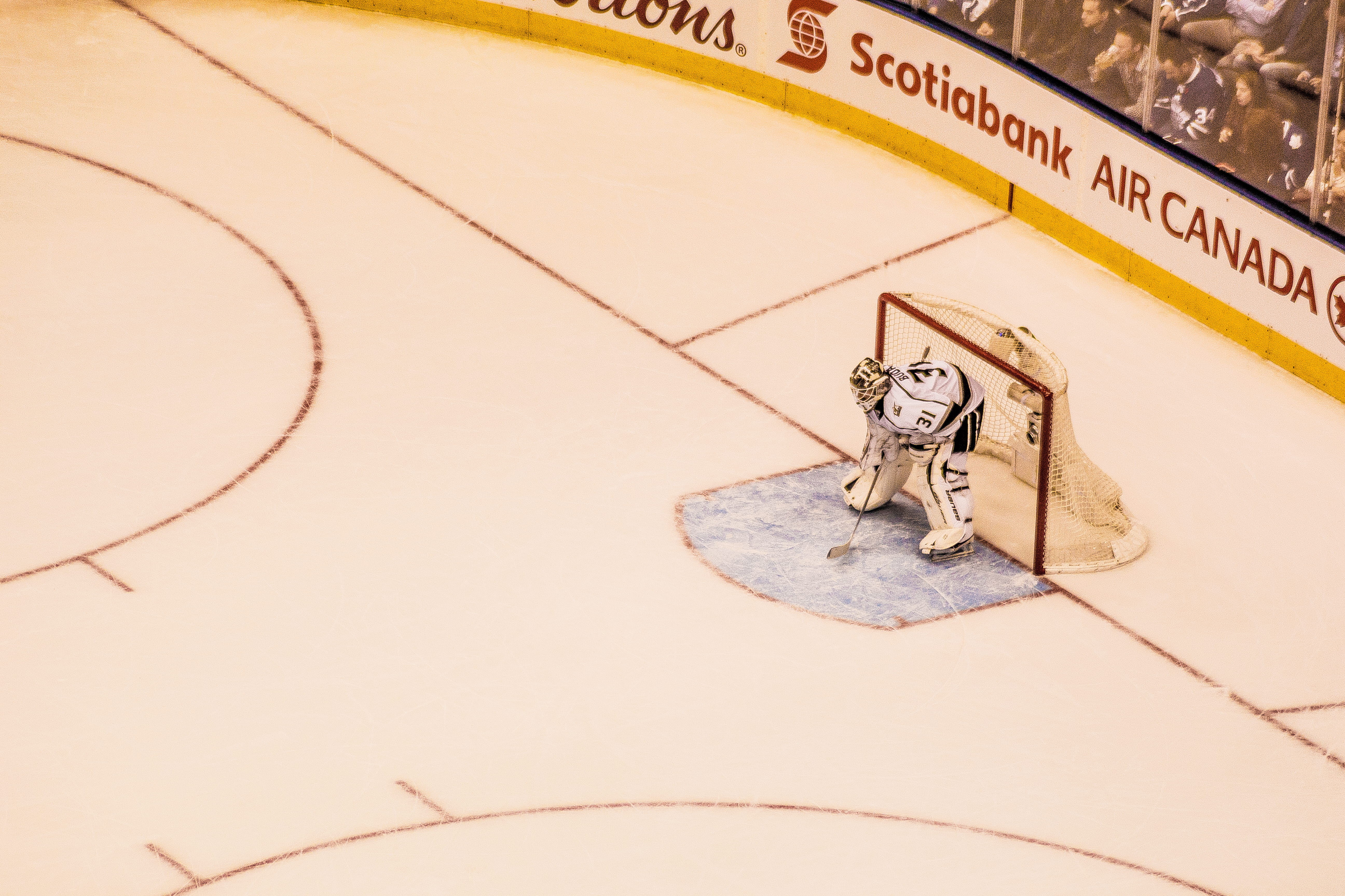 old, ice hockey, animal wildlife, air canada centre, indoors, bay st at air canada centre, no people, art and craft, toronto, male likeness, high angle view, HD Wallpaper