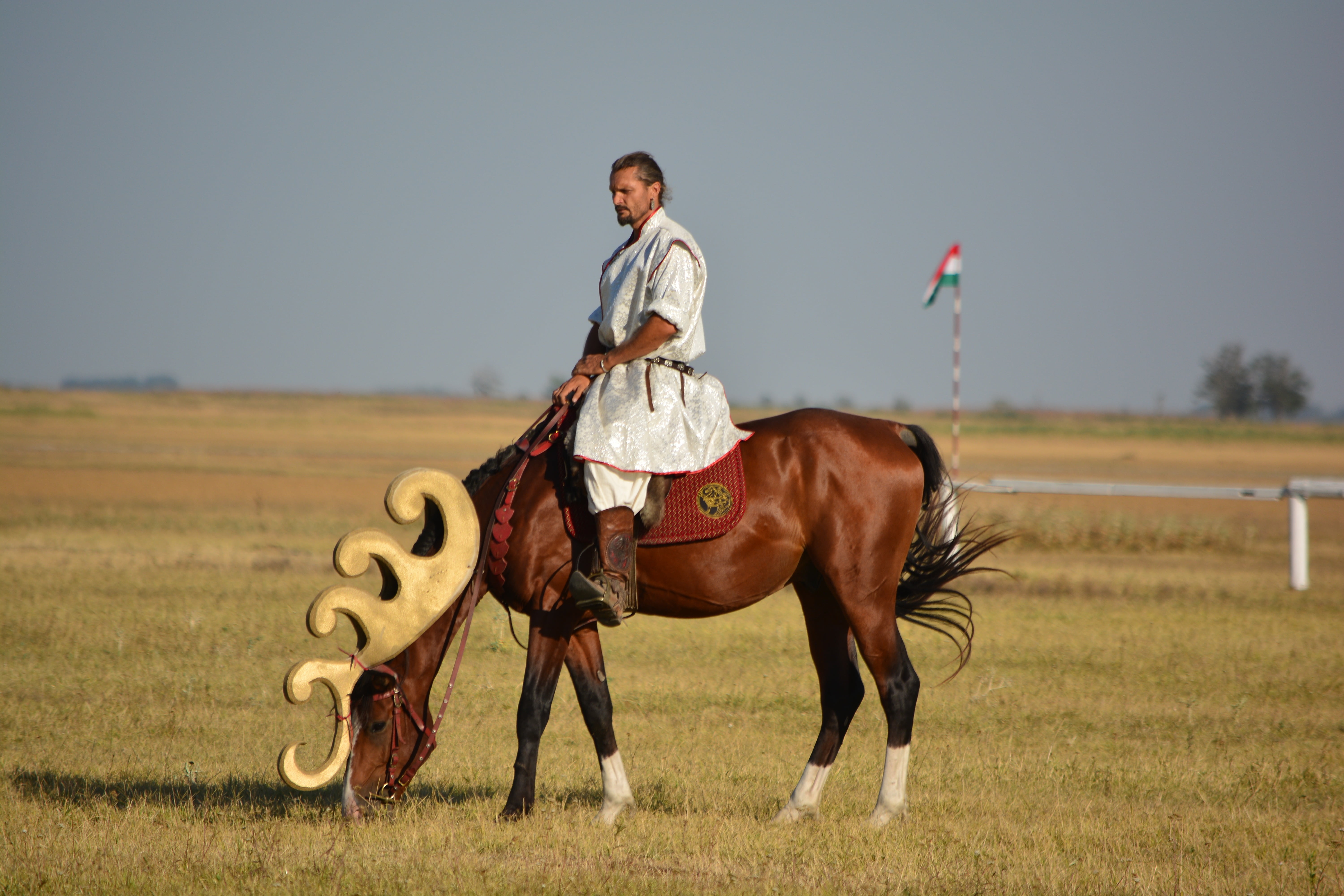 full length, activity, one person, ride, livestock, animal wildlife, men, domestic animals, mammal, herbivorous, 5K, jockey, outdoors, domestic, tradition, HD Wallpaper