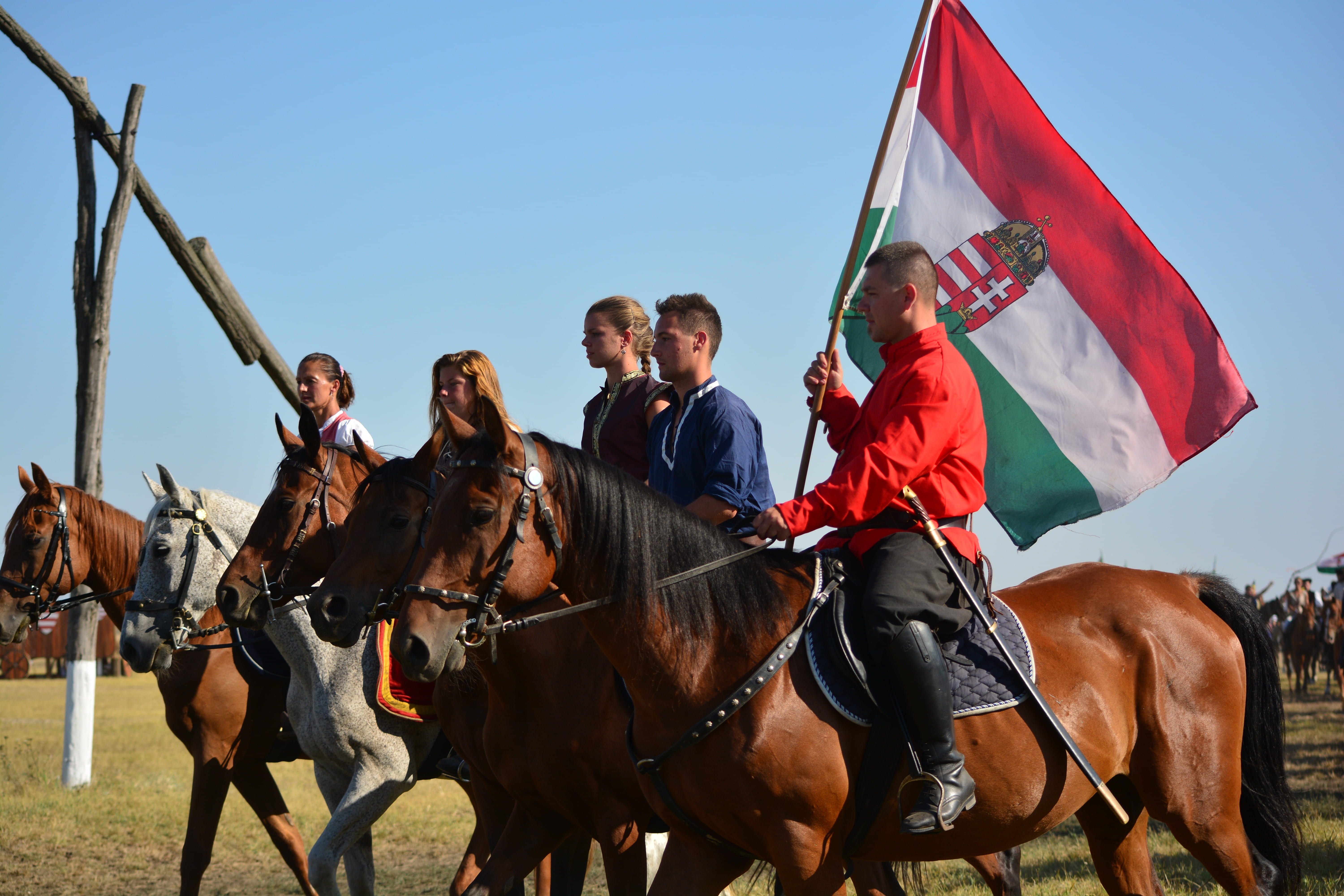 real people, sport, animal wildlife, mature men, group of people, hungarian, activity, livestock, horseback riding, culture, domestic, mammal, adult, riding, HD Wallpaper