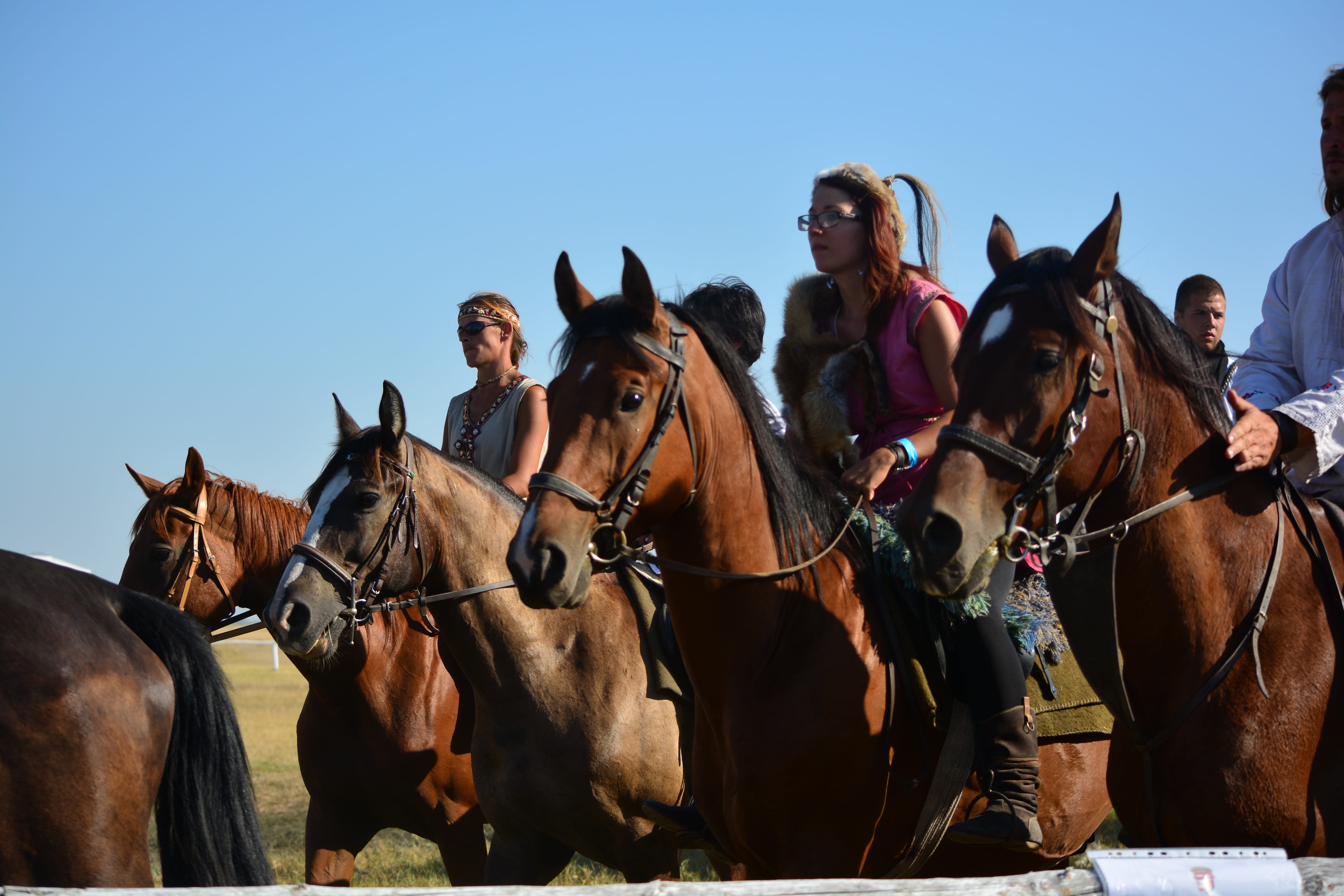 outdoors, mid adult, herbivorous, group of people, group of animals, vertebrate, working animal, Riders, Tradition, 5K, livestock, Hungarian, ride, sky, HD Wallpaper