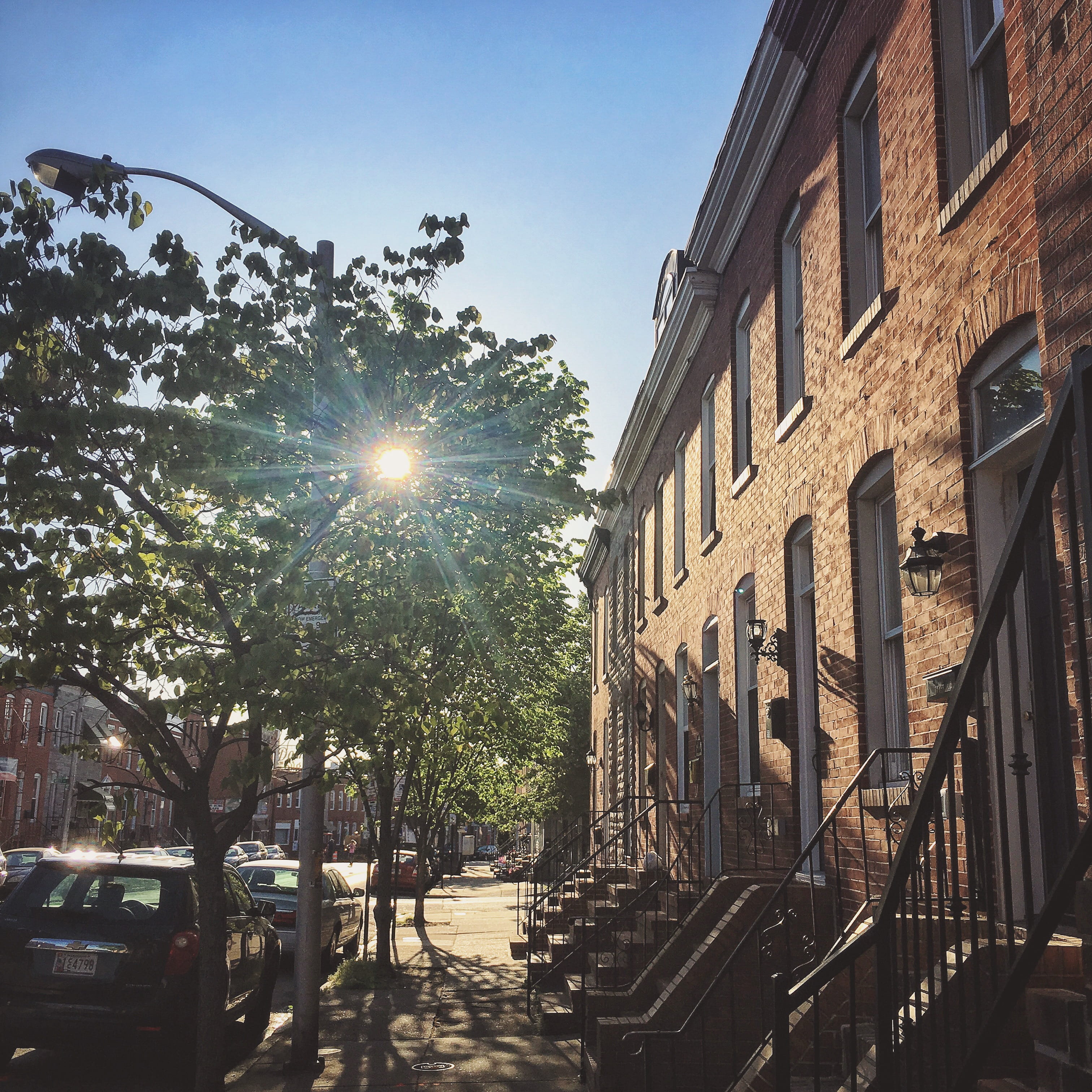 plant, lens flare, morning, silhouette, outdoors, motor vehicle, sunbeam, nature, building, architecture, united states, 2K, city, baltimore, rowhouse, Phone HD Wallpaper
