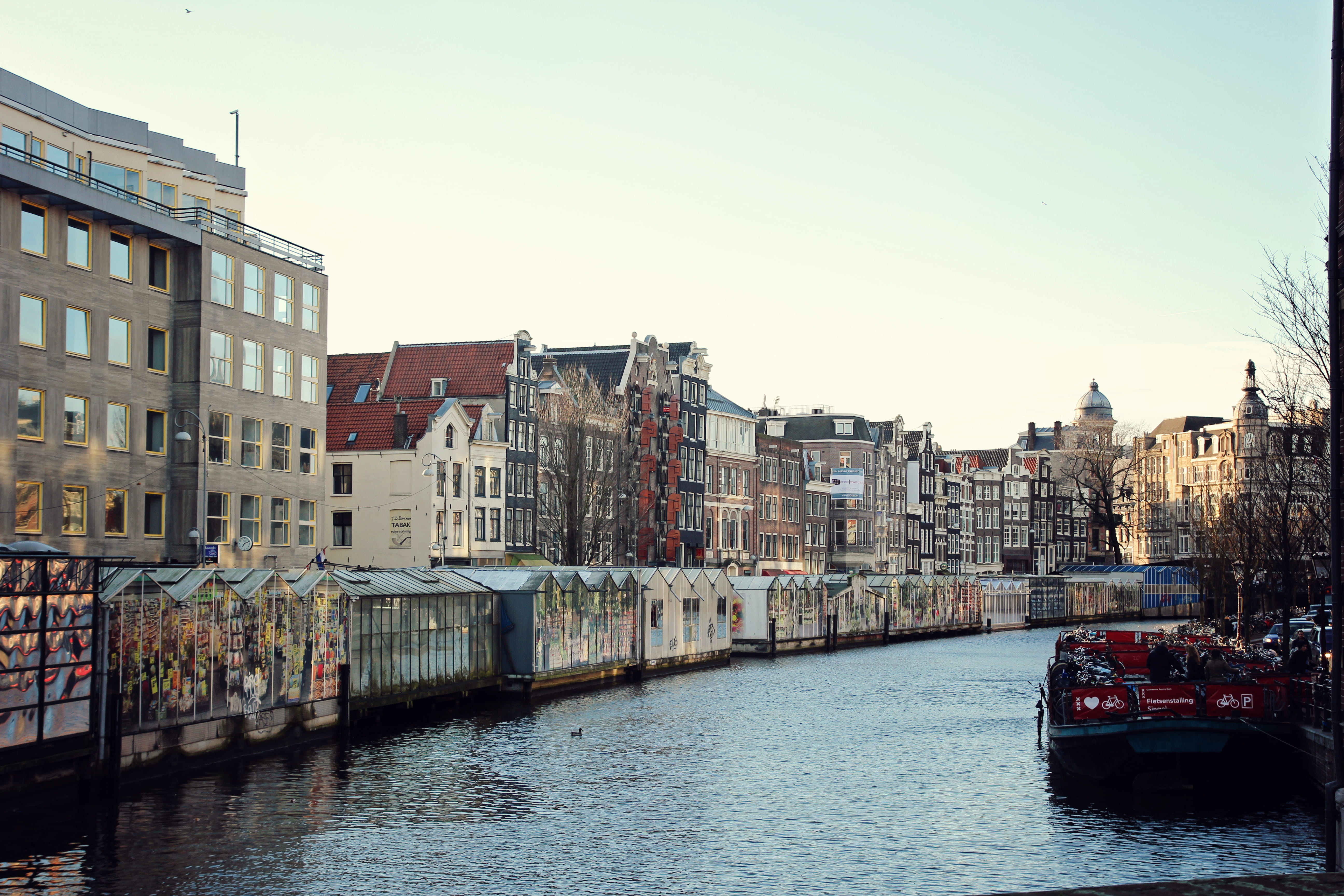 netherlands, architecture, city, no people, blumen, canal, water, 5K, townhome, bridge, mode of transportation, tulips, waterfront, transportation, building, HD Wallpaper