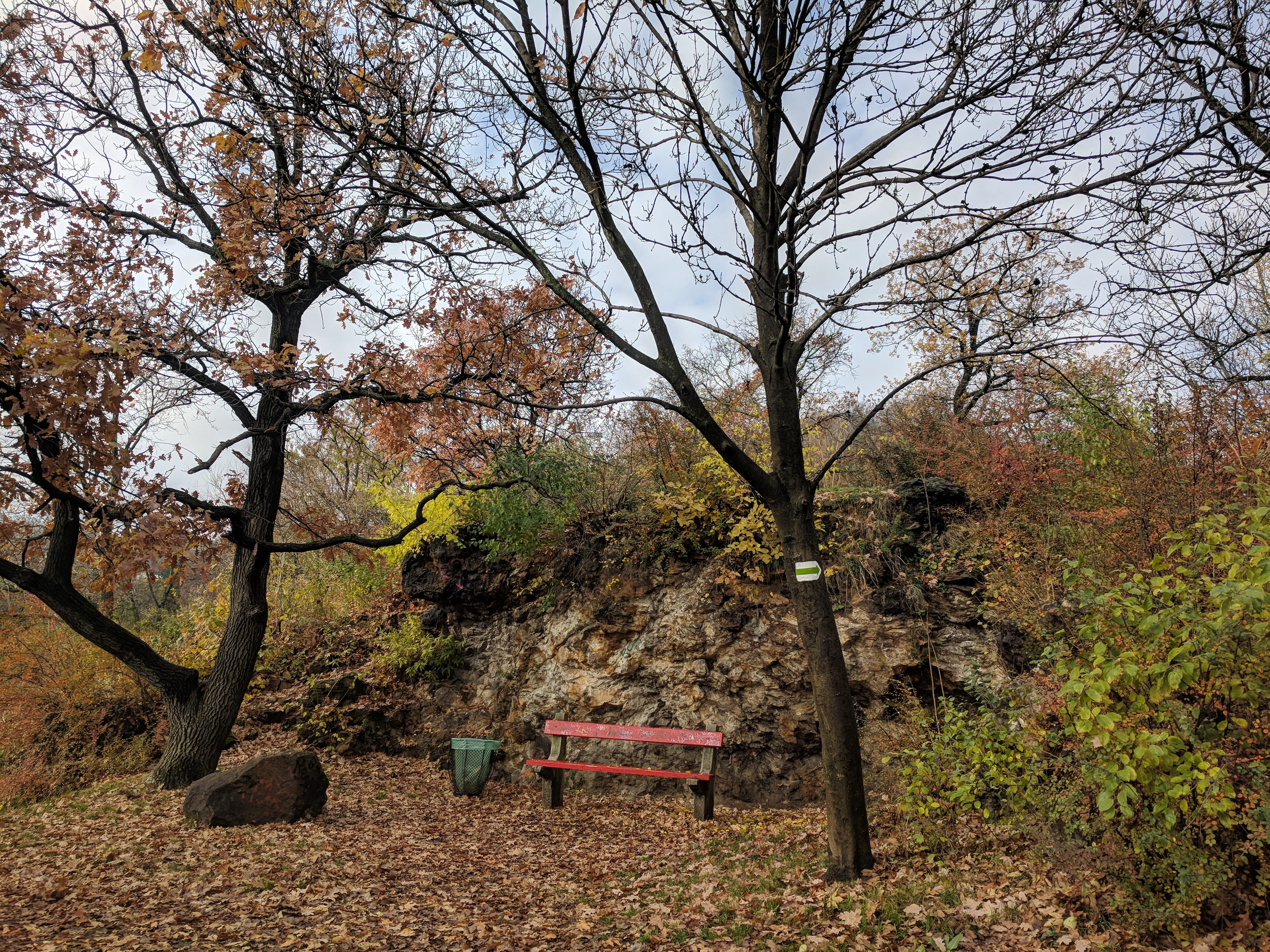 leaf, change, gellért hill, forest, hungary, tree, growth, beauty in nature, trunk, seat, 4K, park, teampixel, park bench, day, absence, budapest, autumn, HD Wallpaper