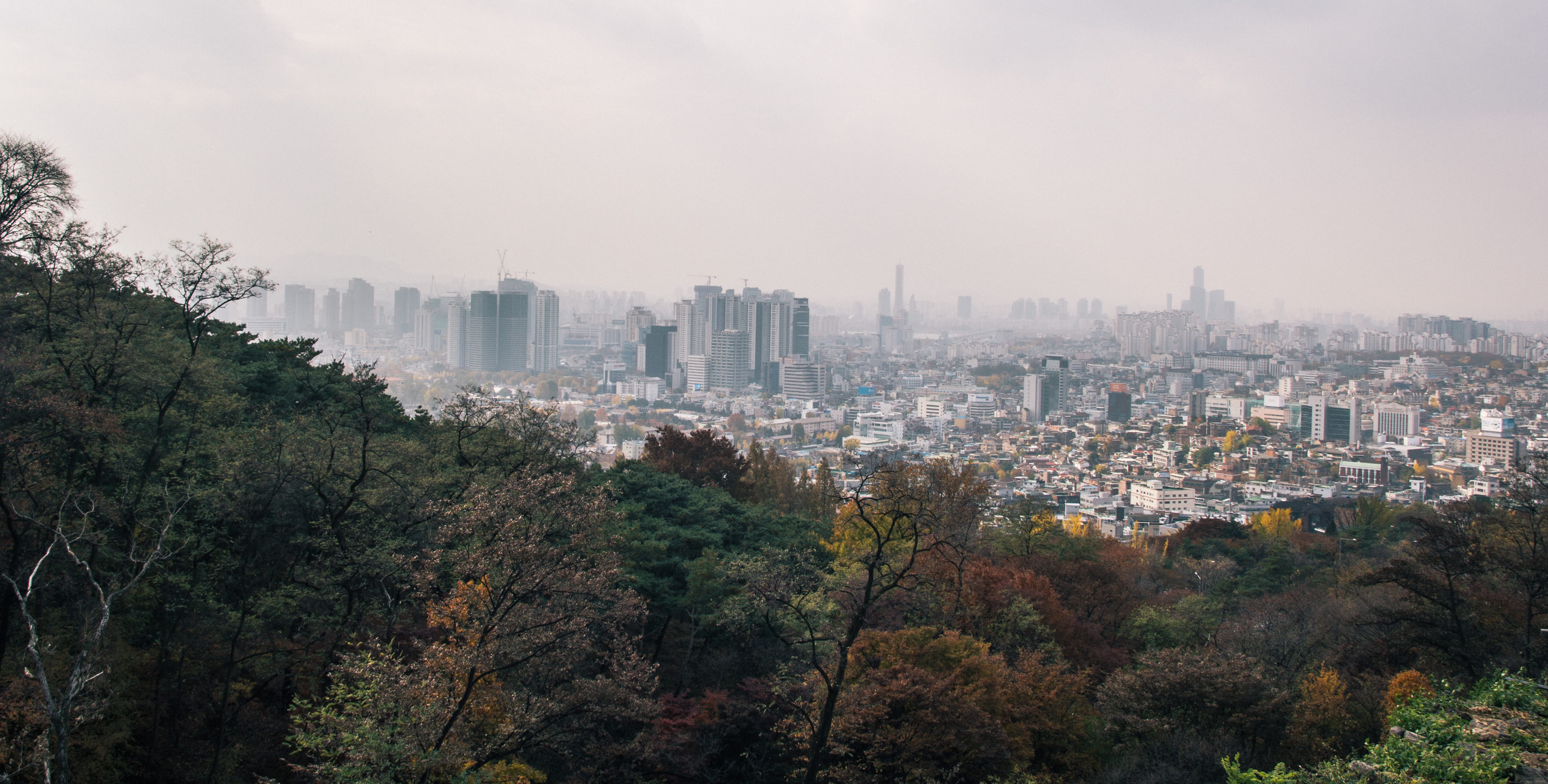 architecture, 4K, buiding, cityscape, korea, building, filter, building exterior, tree, sky, house, outdoors, office building exterior, trees, nature, HD Wallpaper