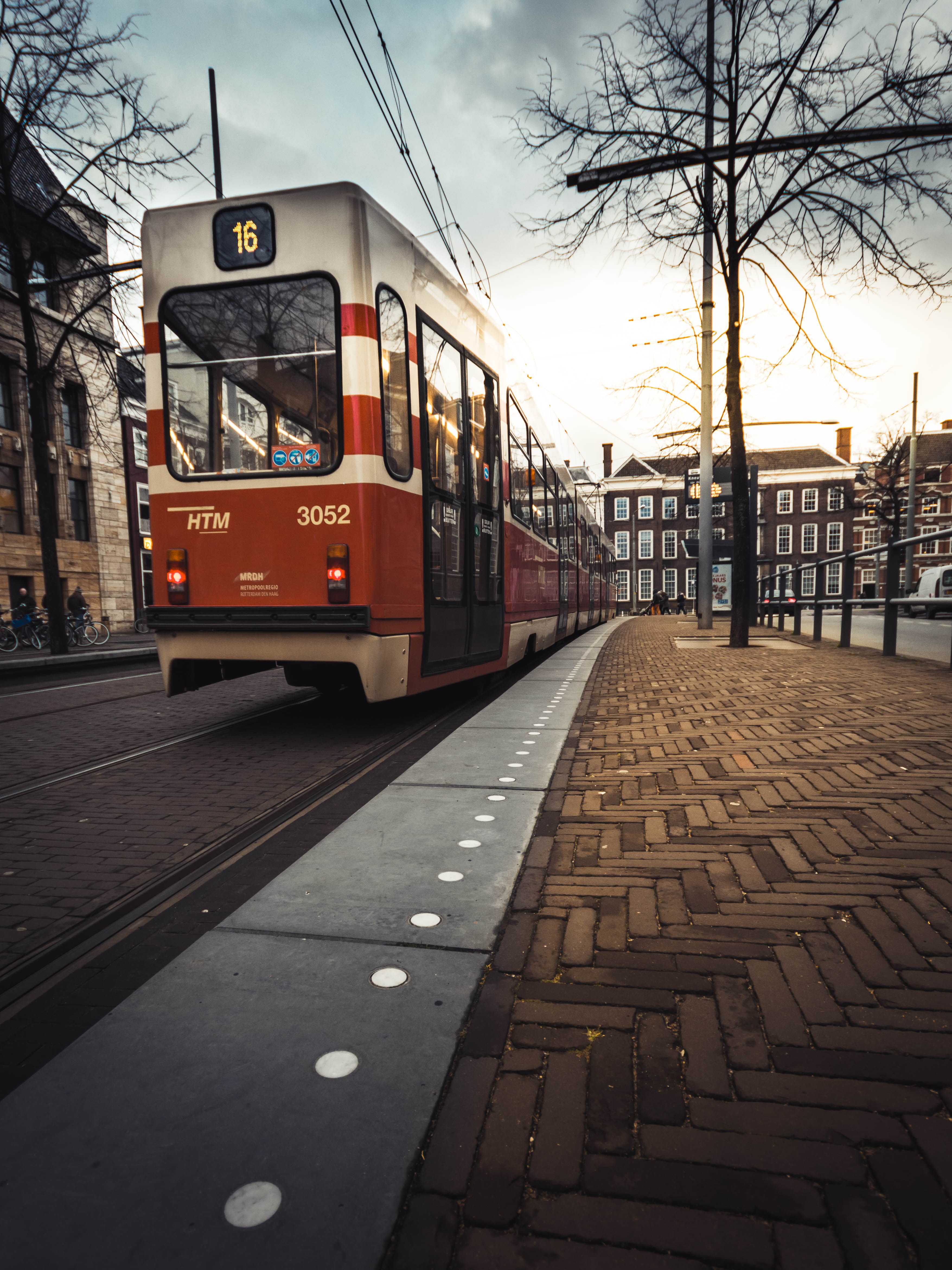 tree, transportation, footpath, tram, abstract, land vehicle, city, mode of transportation, netherlands, no people, vintage, street, water, architecture, Phone HD Wallpaper
