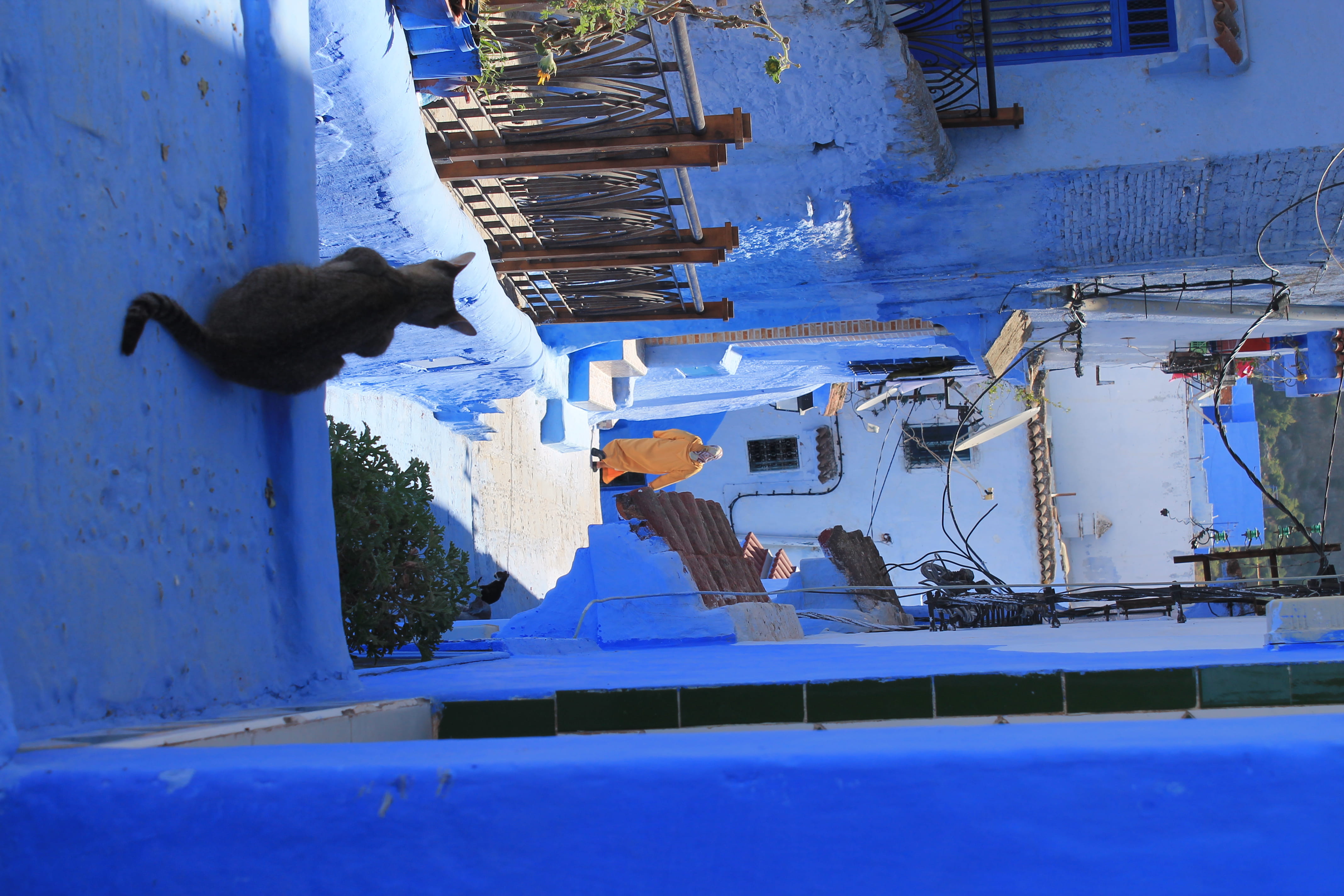 4K, city, built structure, winter, snow, chefchaouen, day, architecture, ble, walk, morocco, chefchoauen, side view, water, occupation, marocco, real people, HD Wallpaper