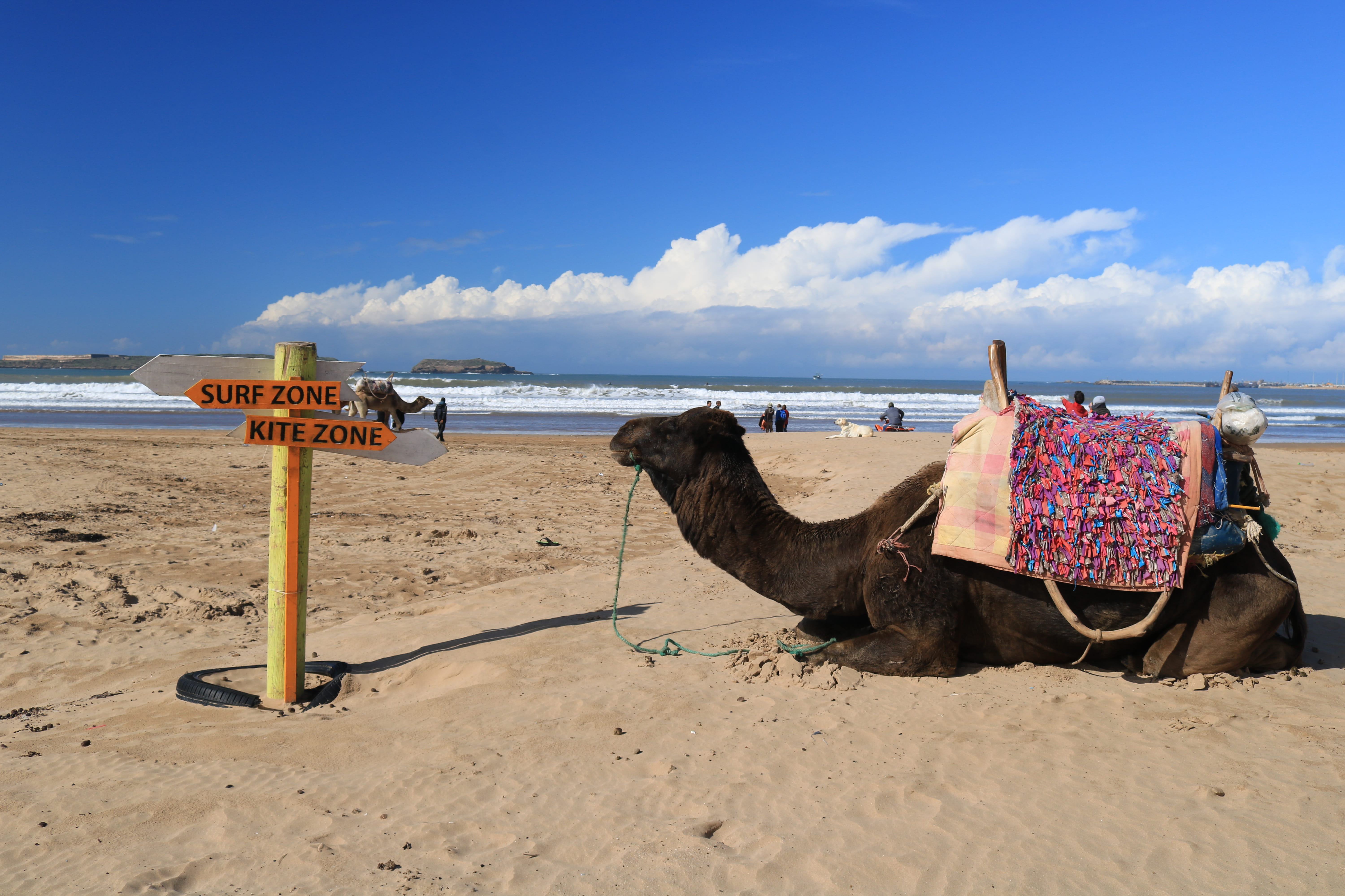 cloud - sky, sea, soil, sky, beach, day, domedaris, pets, road, 5K, scenics - nature, bag, water, arabian, marocco, working animal, animal themes, domestic animals, HD Wallpaper