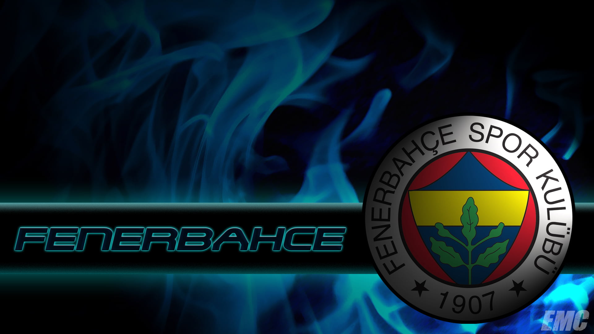 Fenerbahçe, 1080P, Turkey, Champions League, flag, Republic of Turkey, Arma, HD Wallpaper