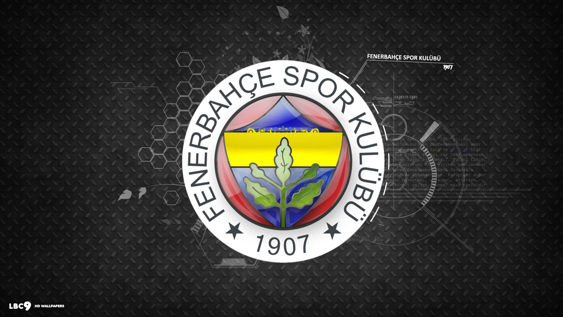 Republic of Turkey, Arma, flag, Champions League, 1080P, Fenerbahçe, Turkey, HD Wallpaper